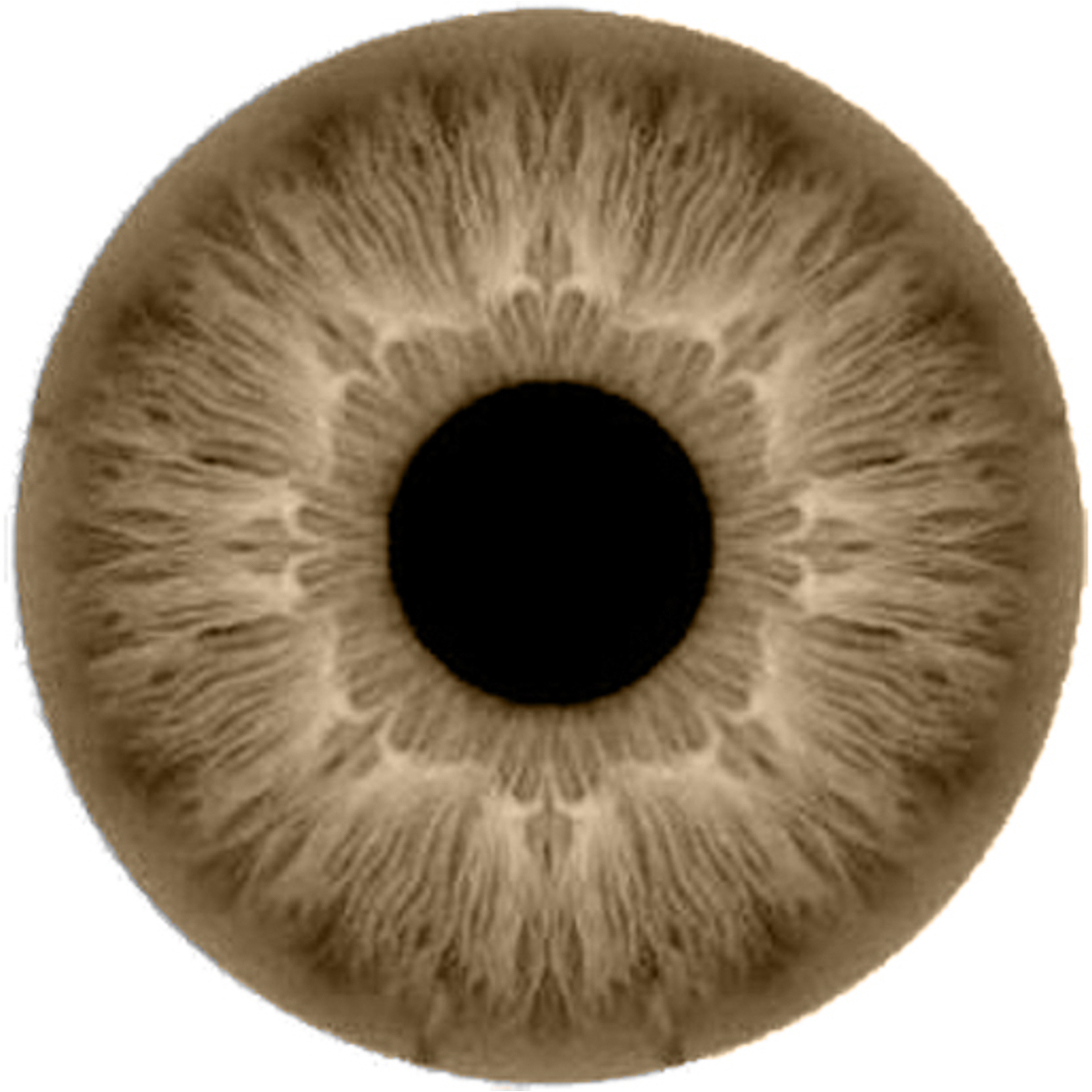 لايالا عدسات لاصقة ملونة