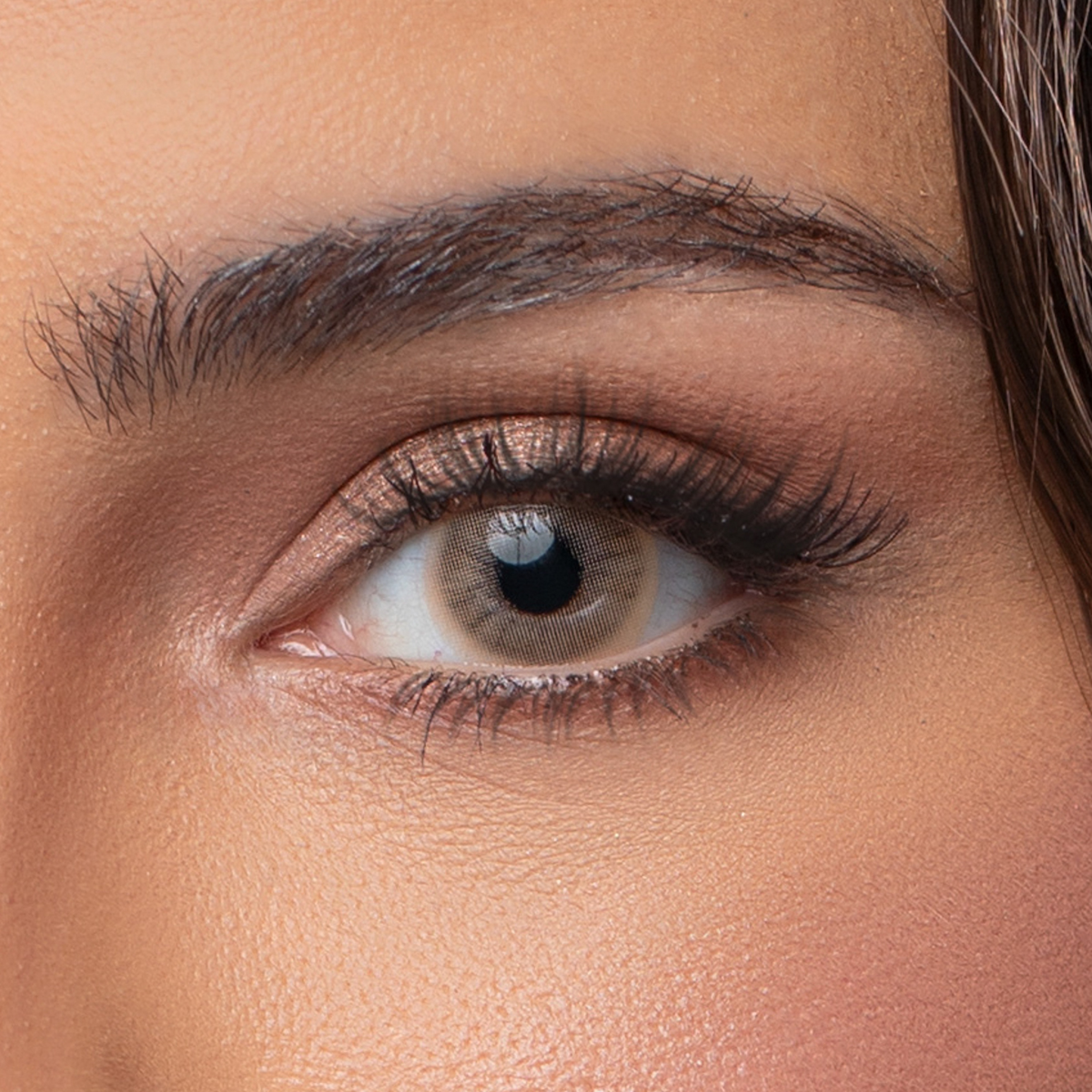 Anesthesia Color Lenses - Addict Oro