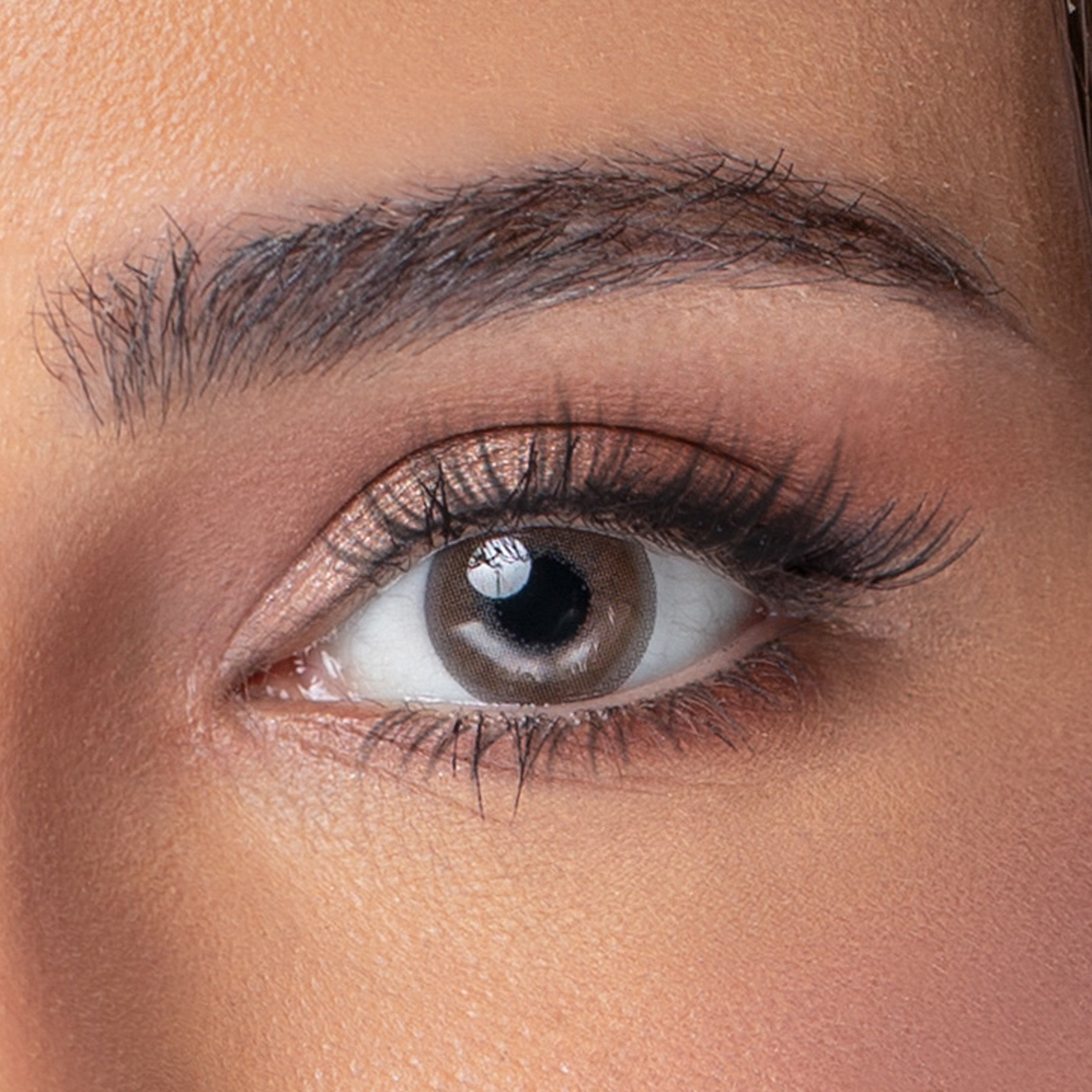 Anesthesia Color Lenses - Cinnamon