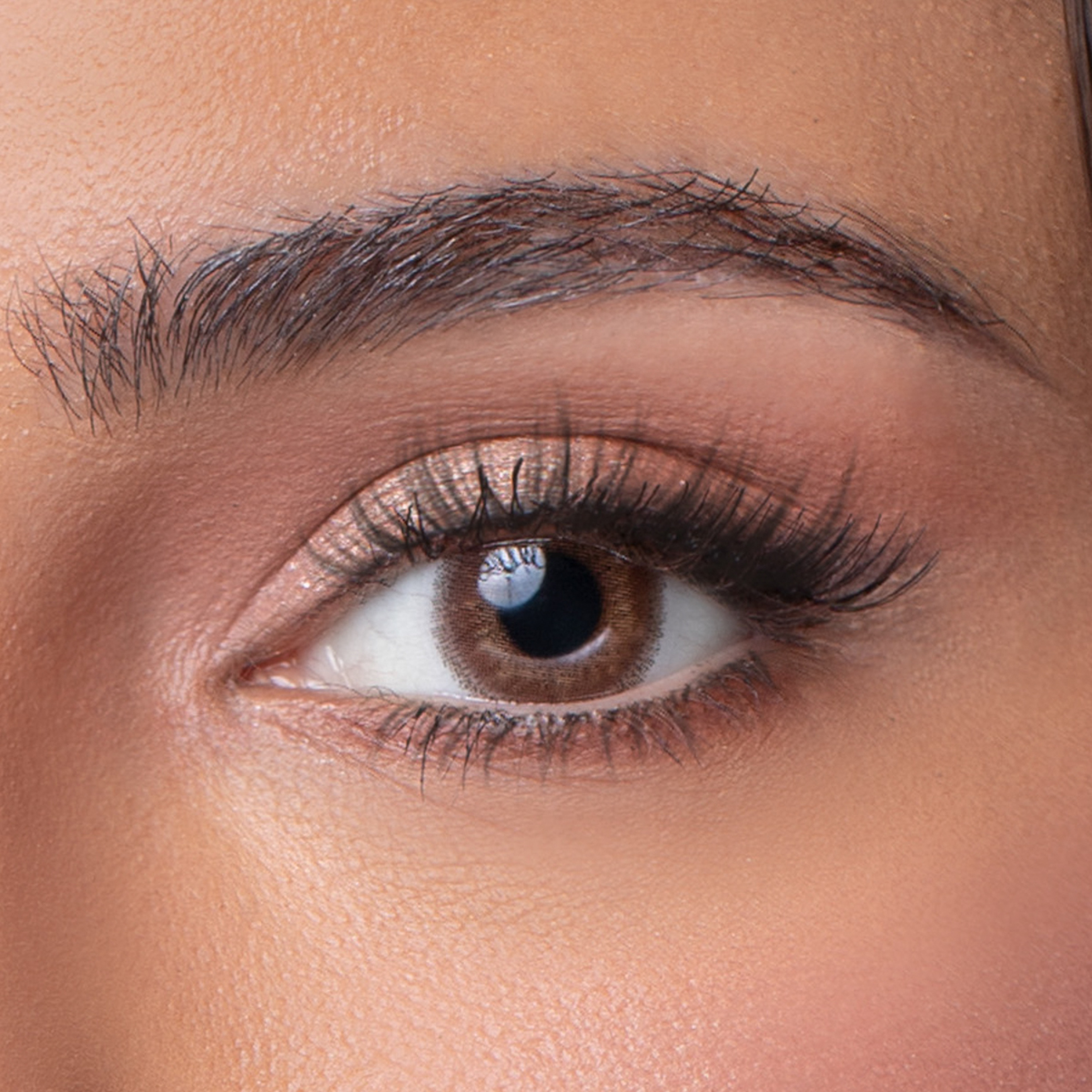 Anesthesia Color Lenses - Addict Marron