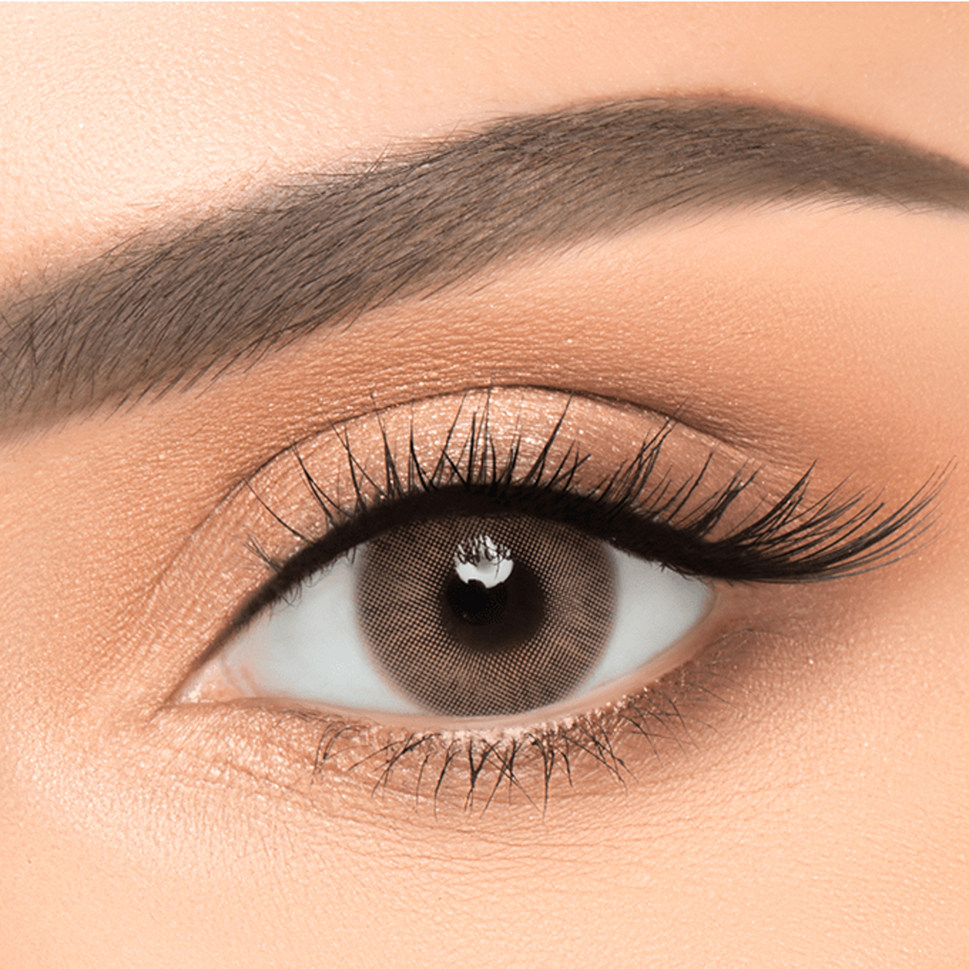 New Lens Color Lenses - Cappuccino