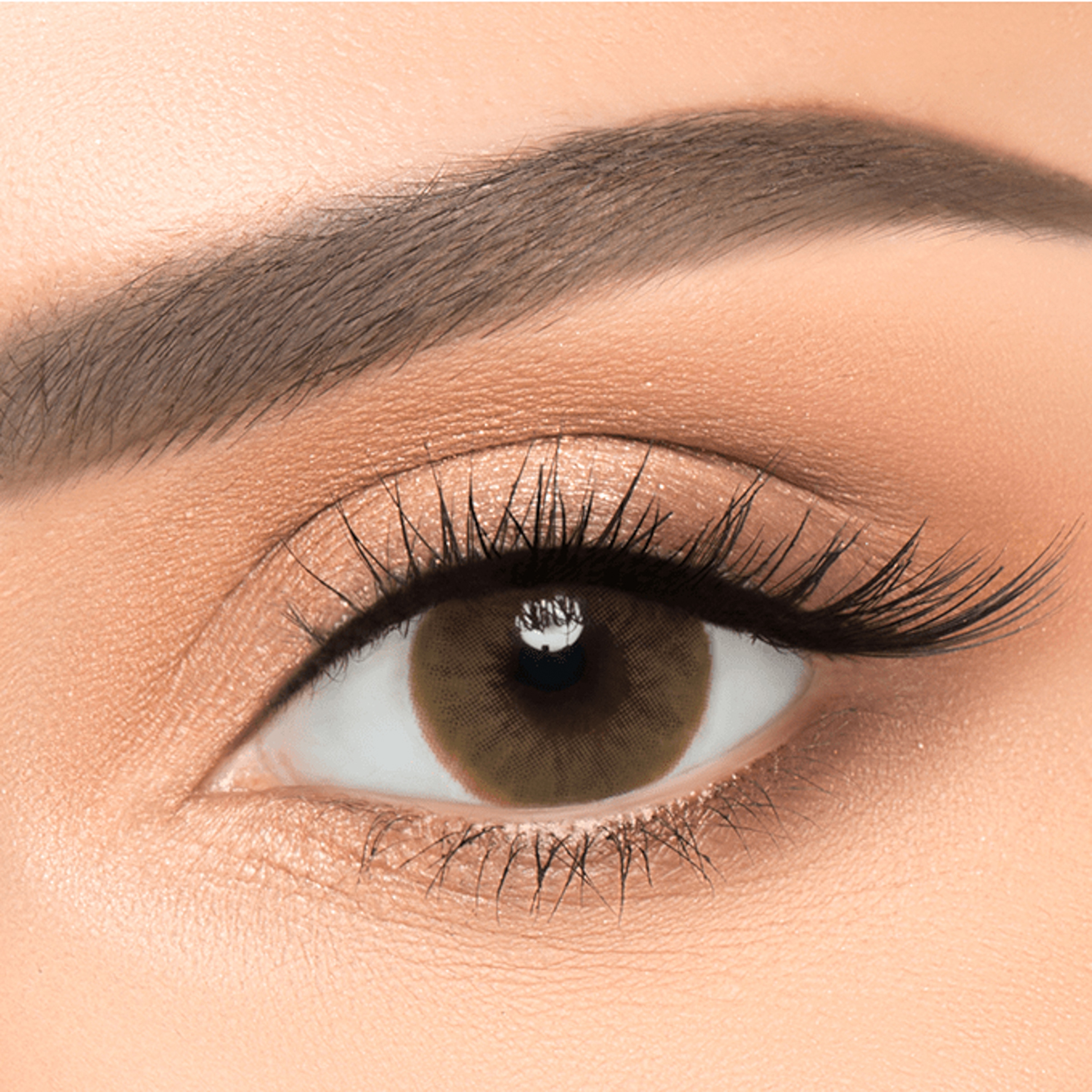 نيو لنس عدسات لاصقة تجميلية