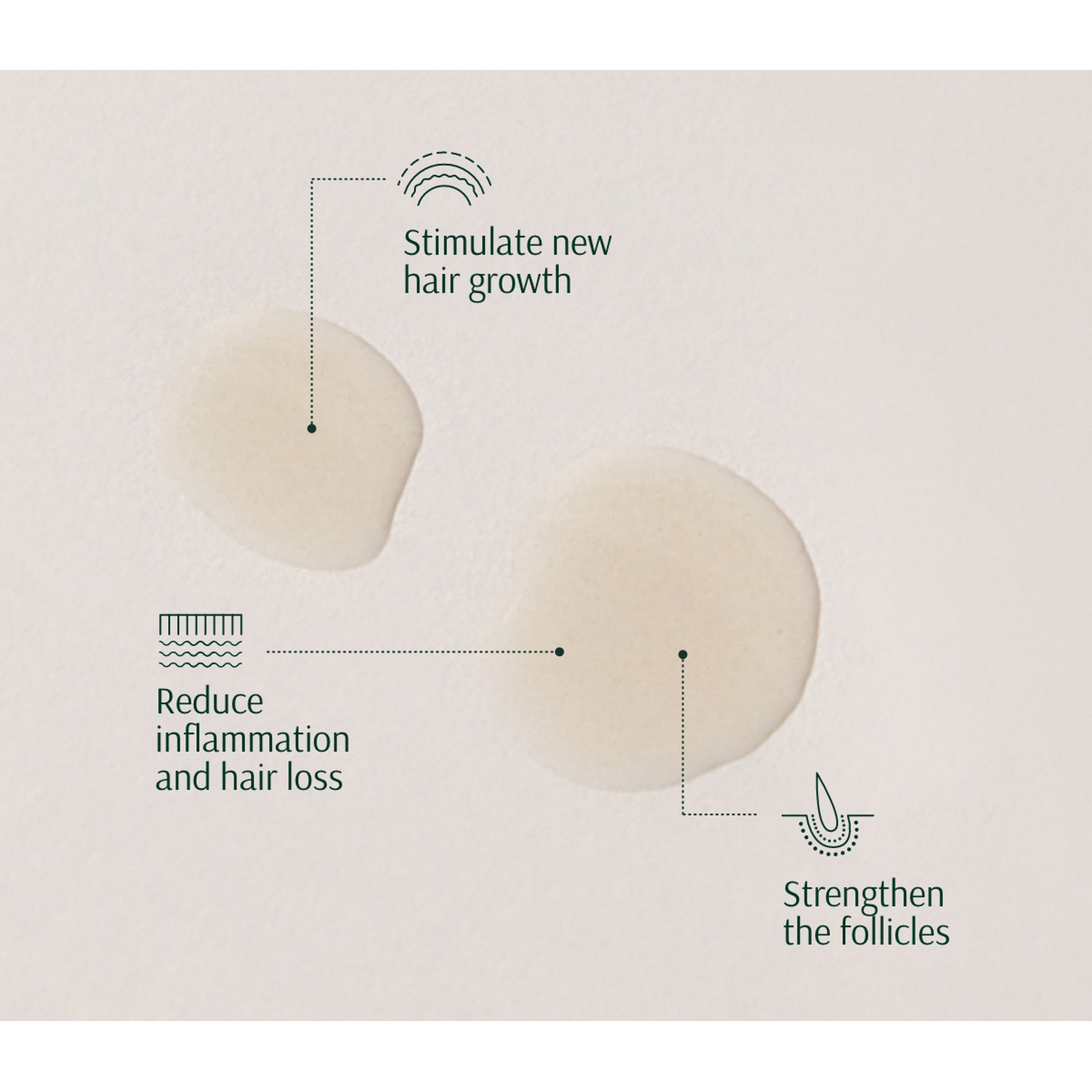 Tara ONION PEPTIDES FOLLICLE STIMULATING SCALP CONCENTRATE 50 ML