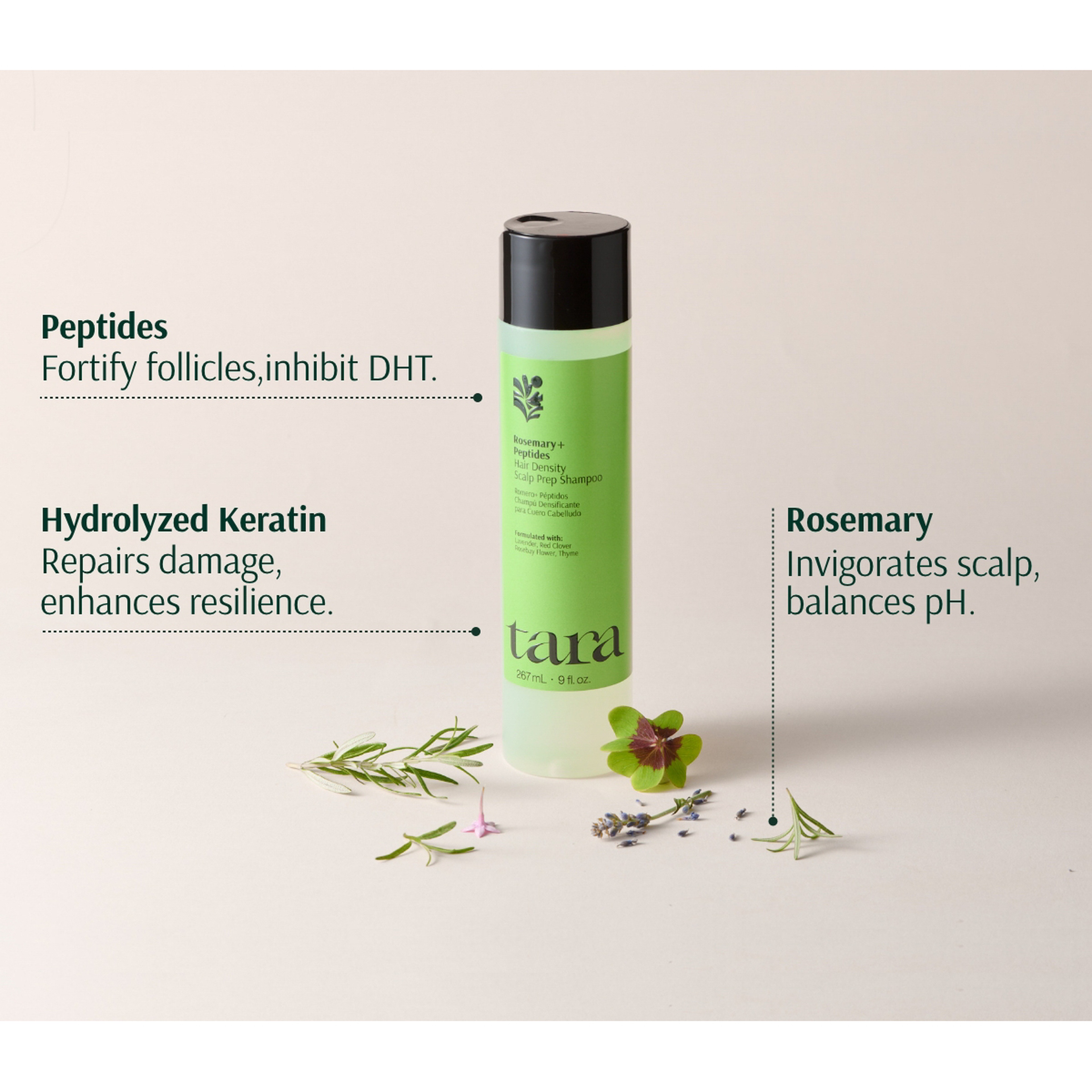Tara ROSEMARY PEPTIDES HAIR DENSITY SCALP PREP SHAMPOO 267 ML