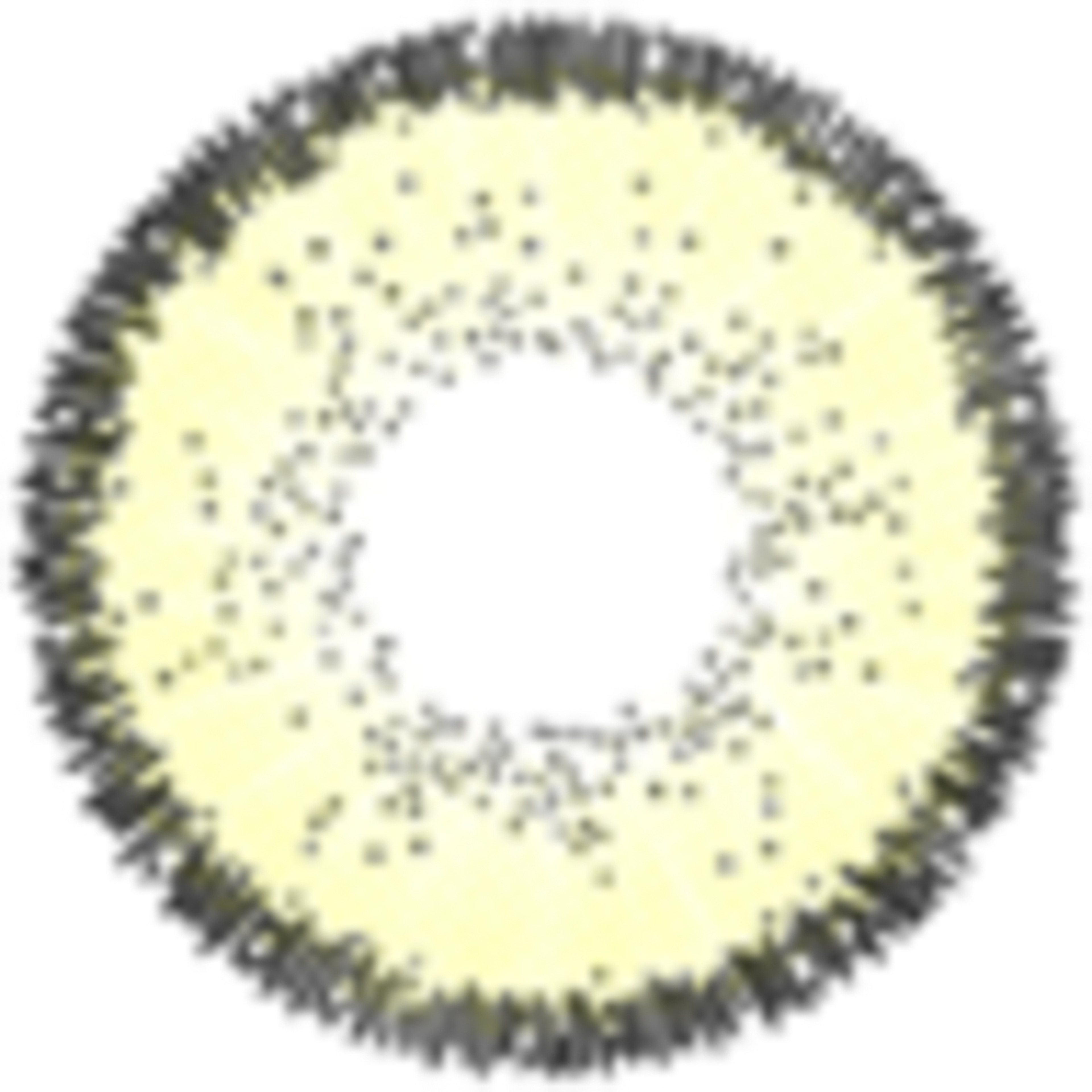 Xlens Contact Lens