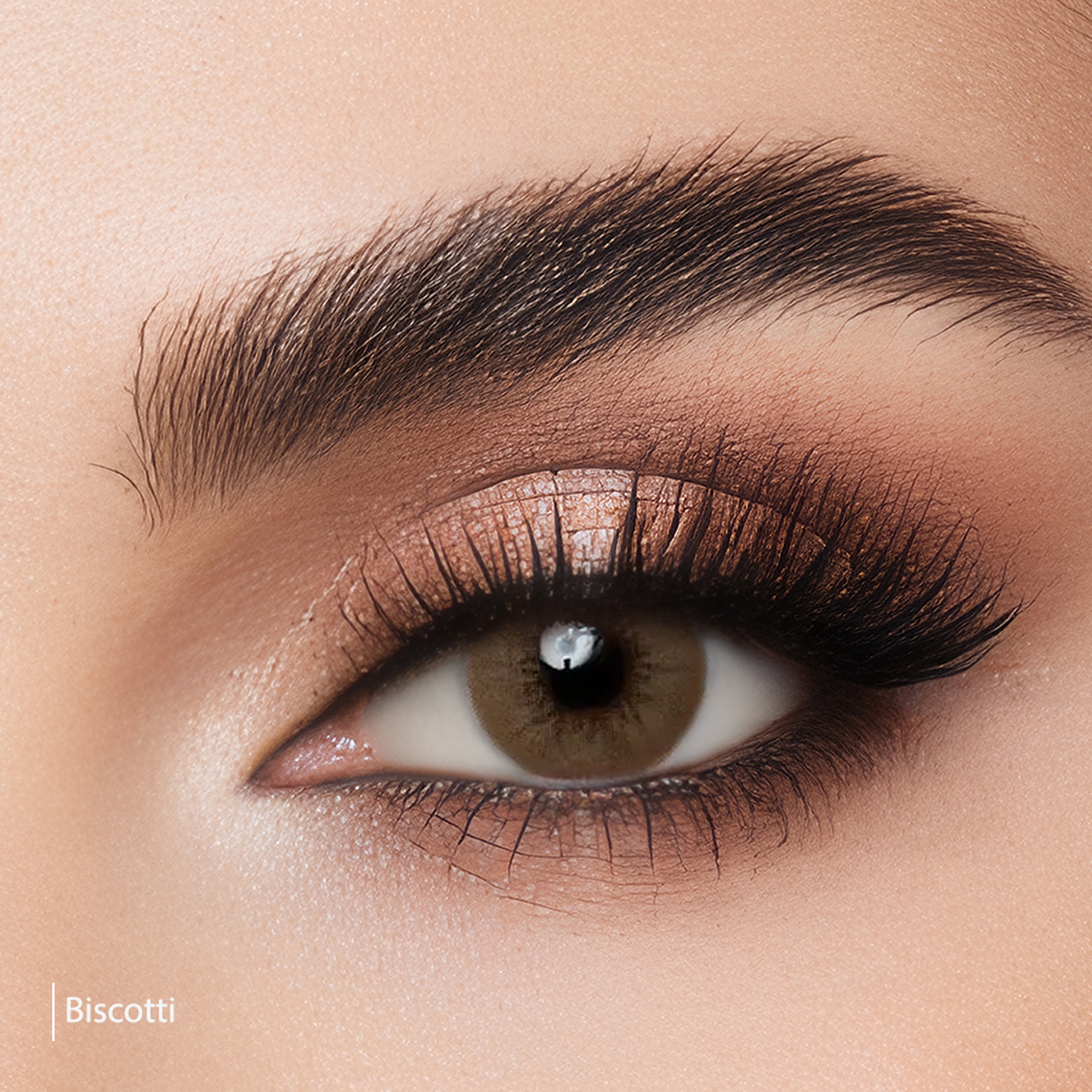 إكس لينس عدسة ملونة شهرية