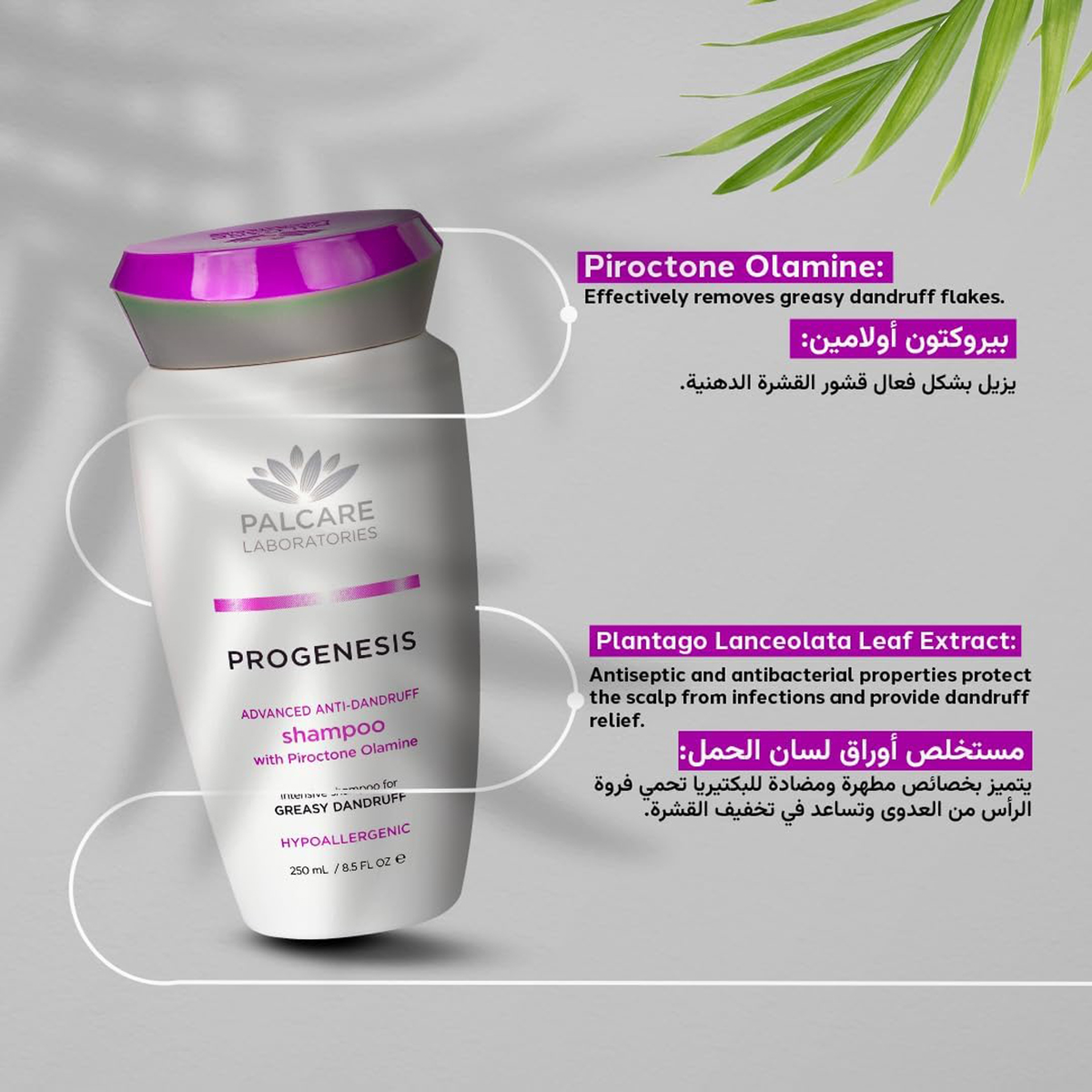 Palcare Progenesis Greasy Dandruff Shampoo 250ml
