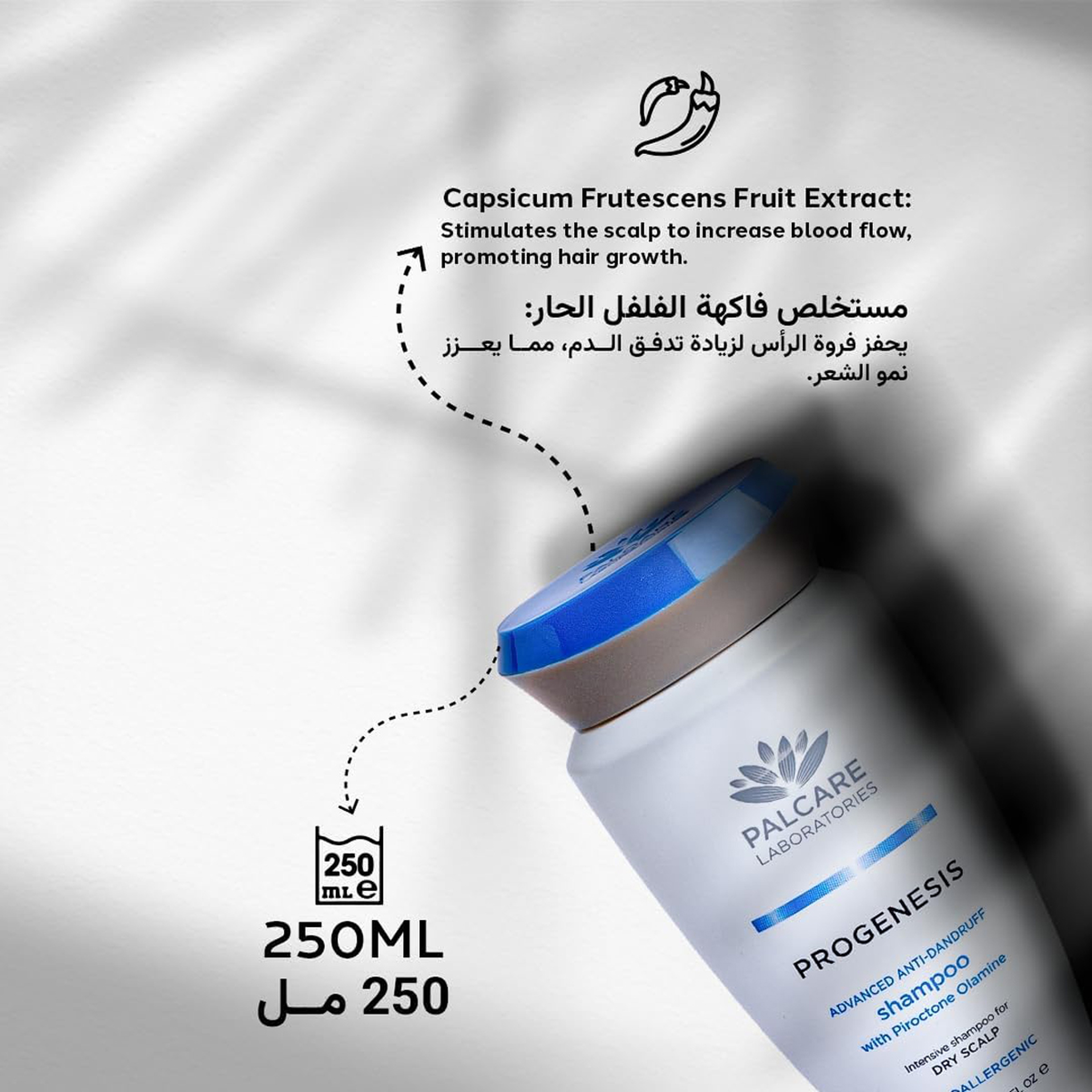 Palcare Progenesis Itchy Dandruff Shampoo 250ml