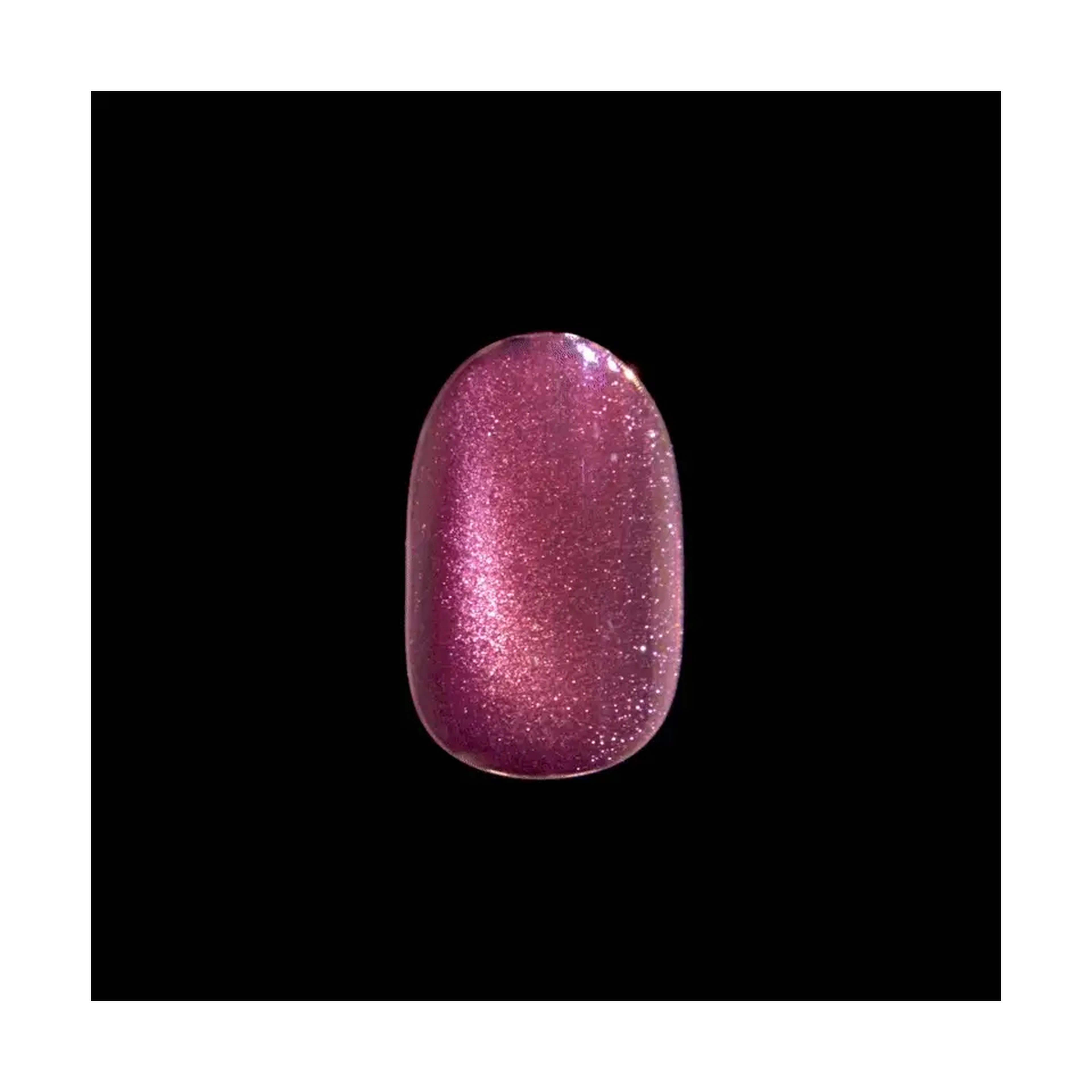 كيس أظافر إمبريس كلر FX