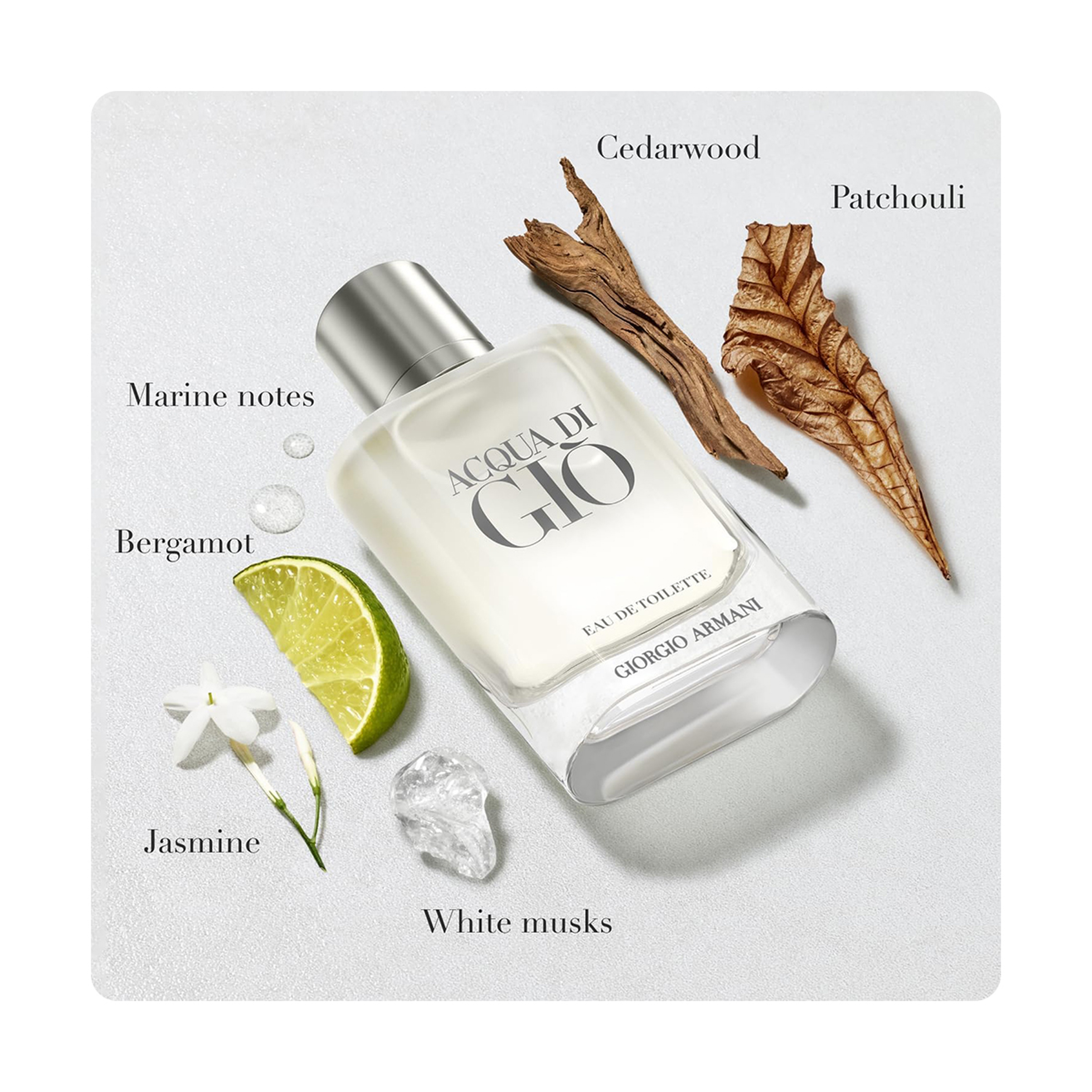 Giorgio Armani Acqua Di Gio Eau De Toilette For Men - 100 Ml