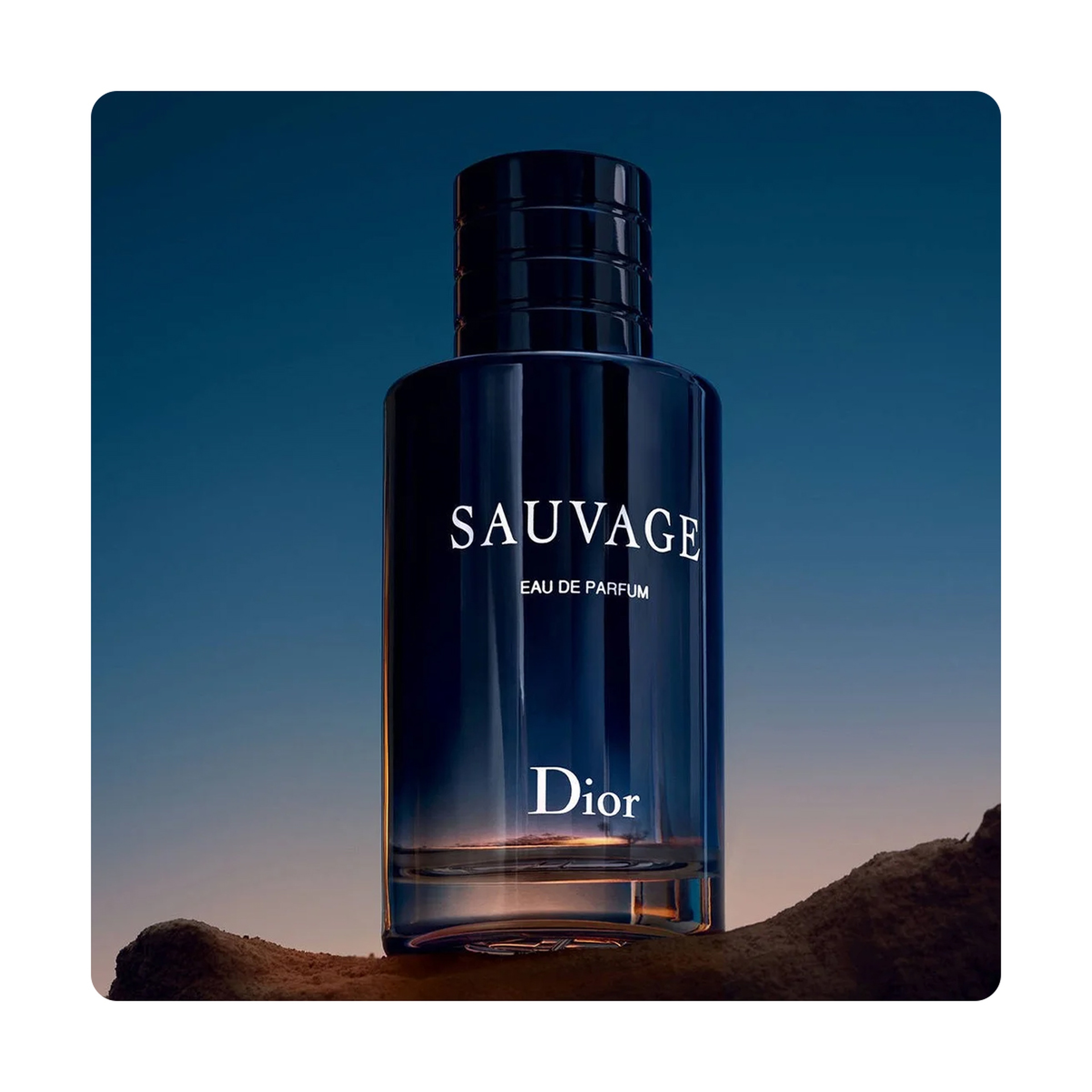 Christian Dior Sauvage EDP M 200ml