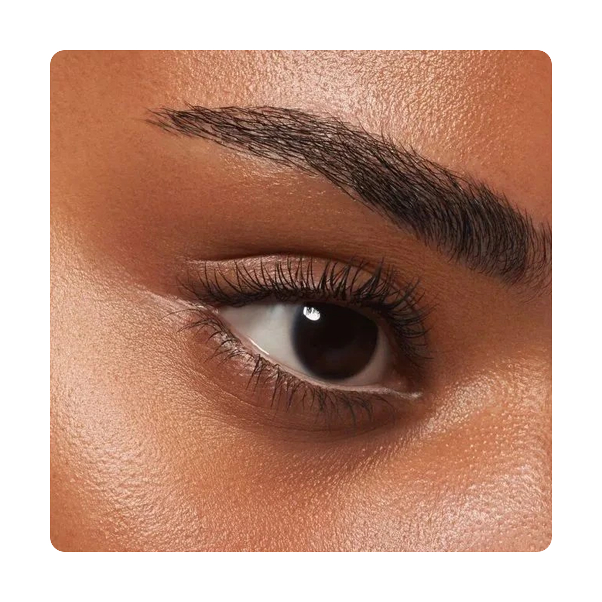 صورة 3