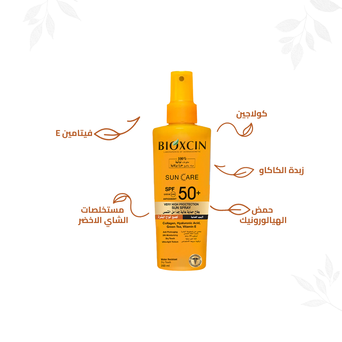 صورة 3