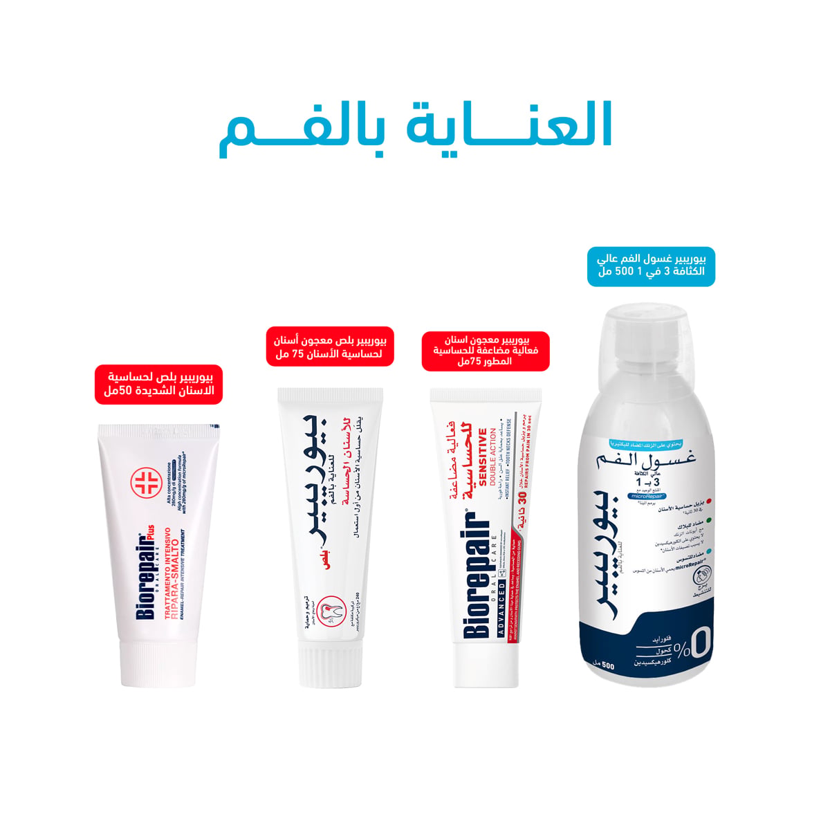 صورة 5
