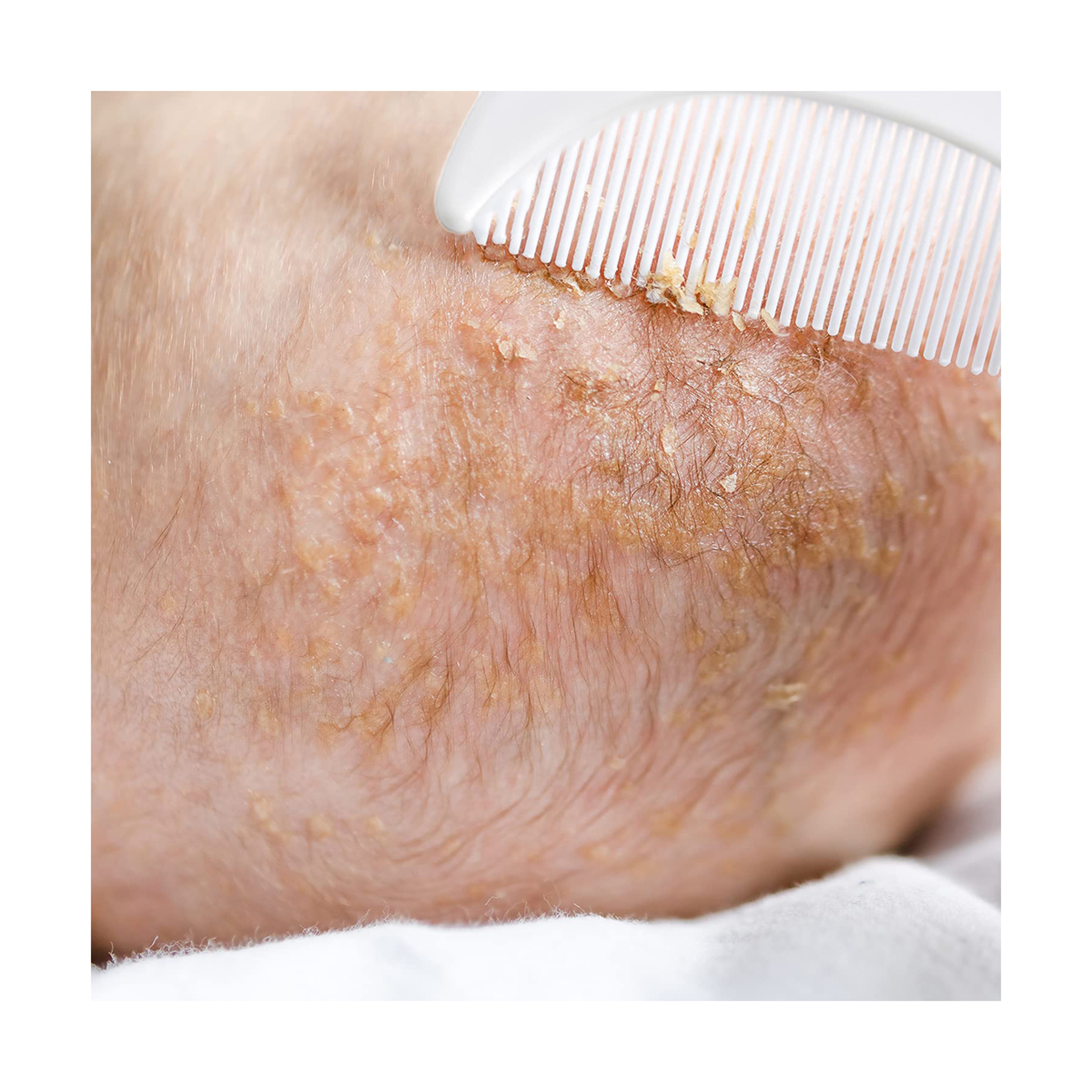 Luqu Comb And Brush Set Pink