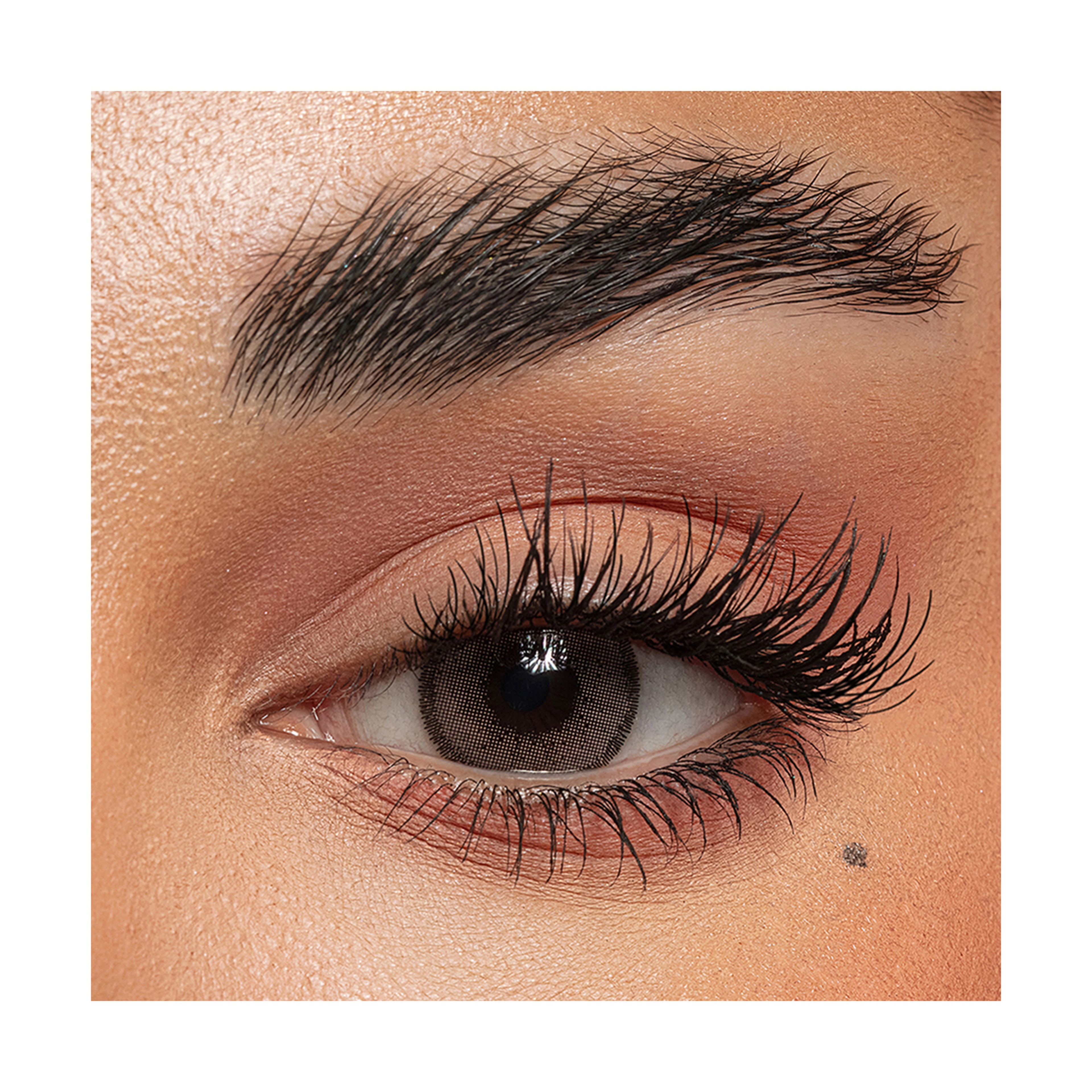 Amara Daily Contact Lenses