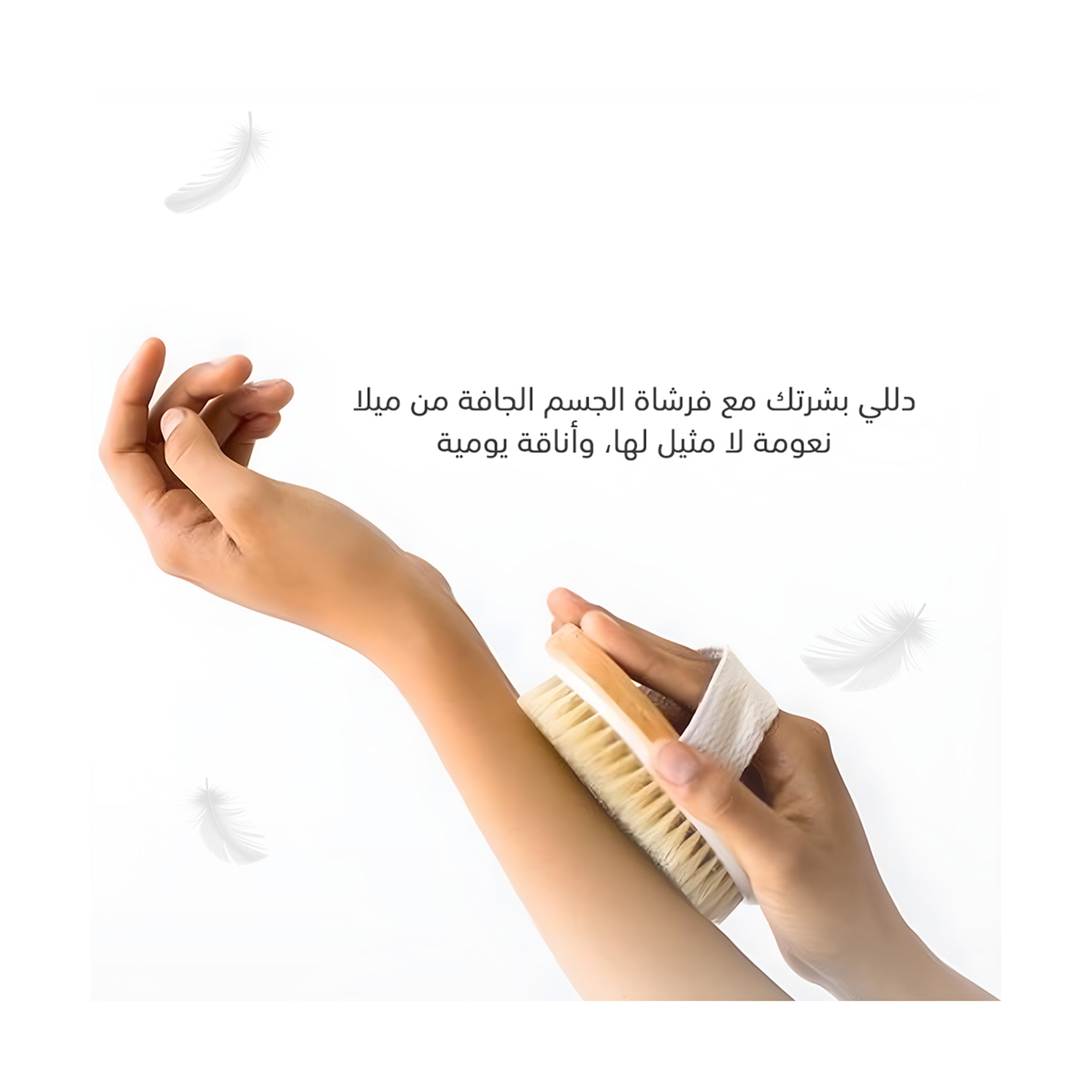 Mella Round Dry Brush