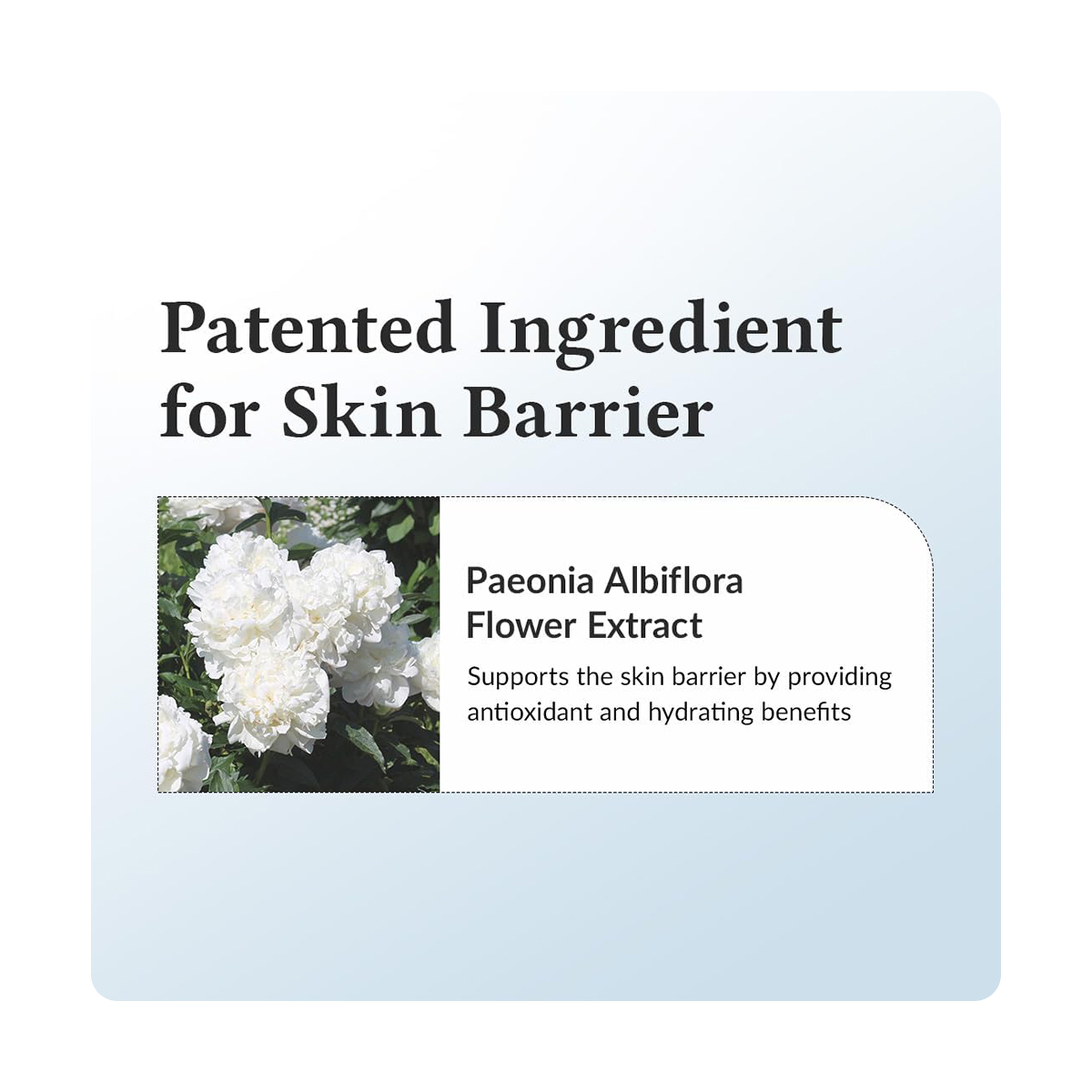 دكتور ألثيا كريم مهدئ مكثف ريسفيراترول 147 - 50 مل