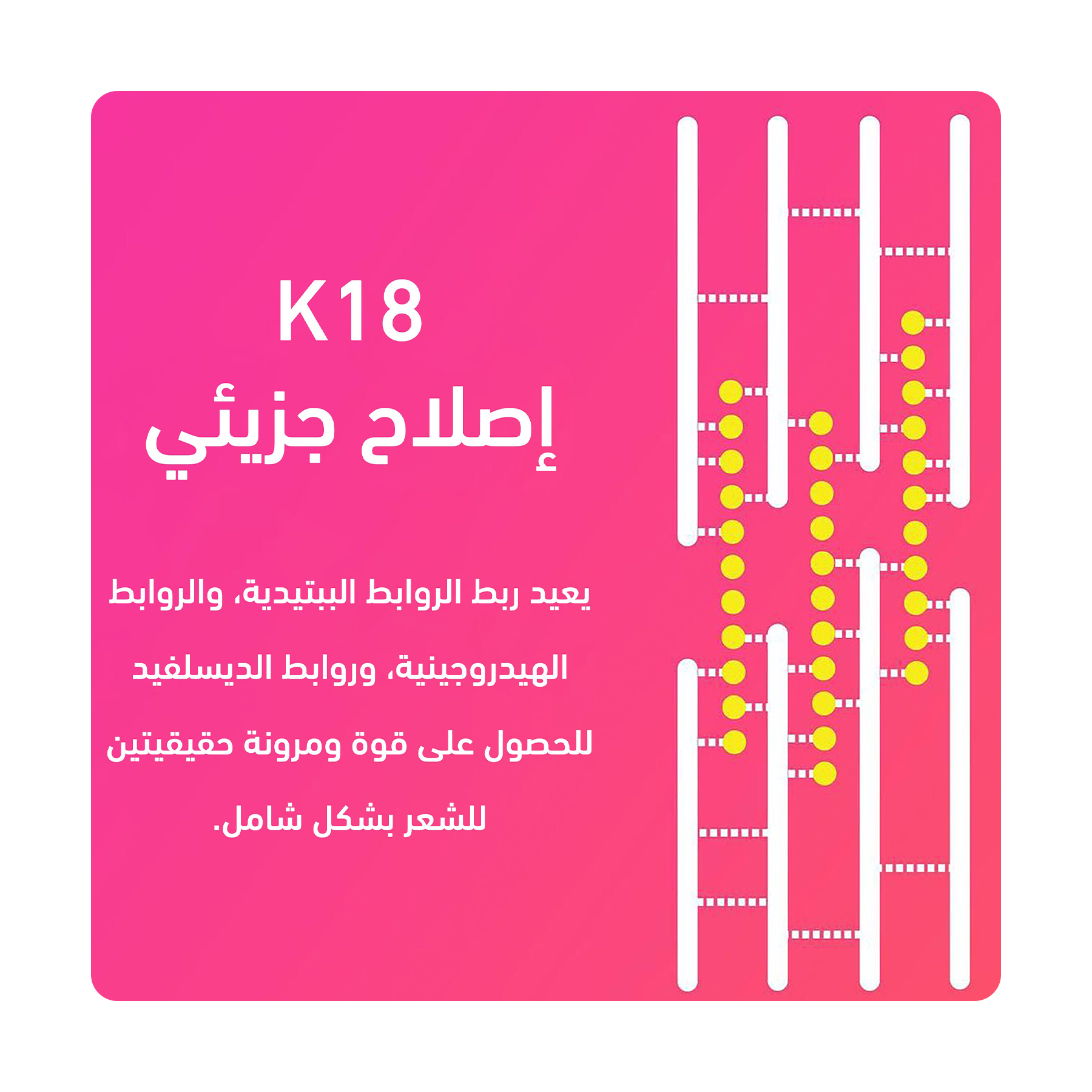 صورة 4