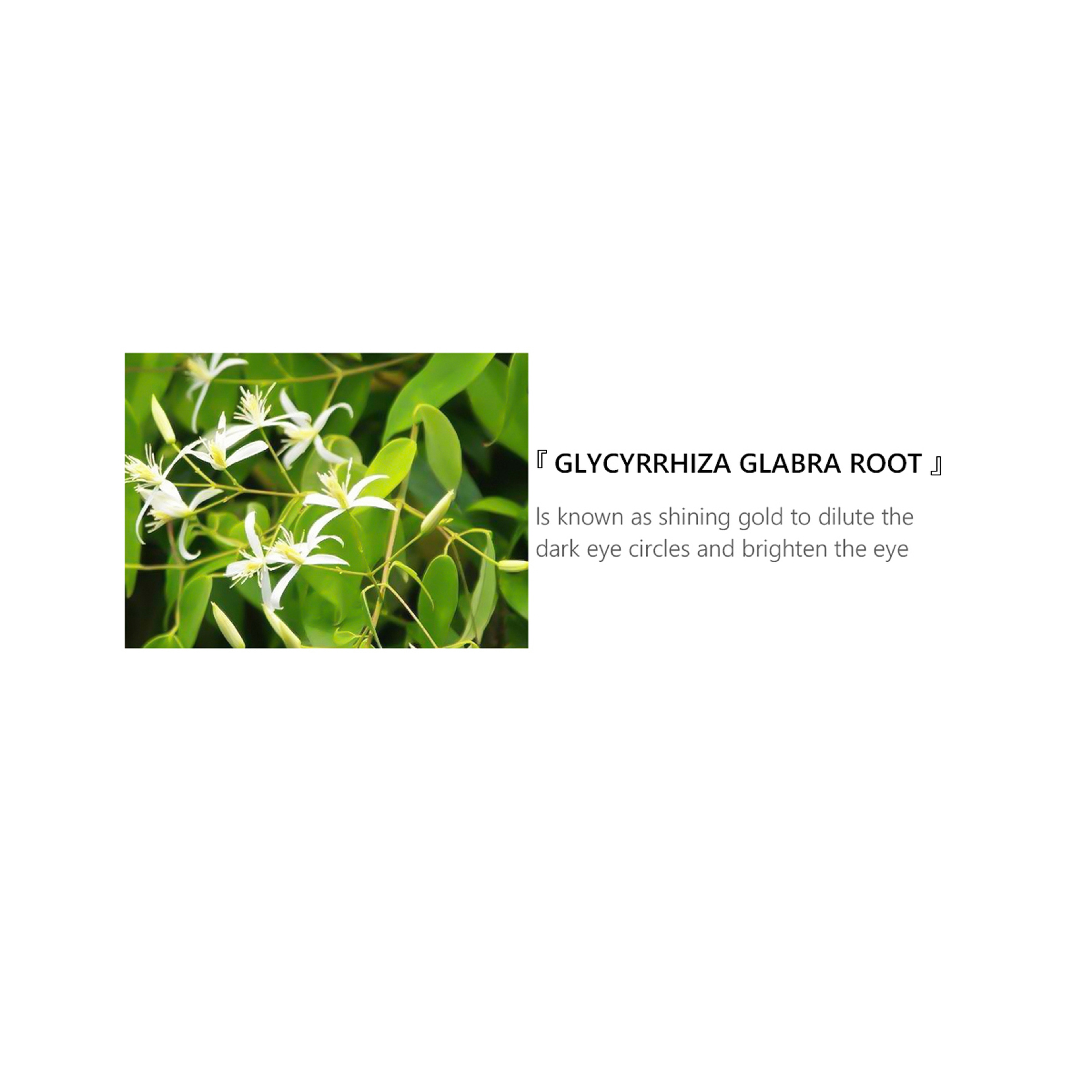 Vibrant Glamour Retinol Eye Serum for Firming, Moisturizing, and Anti-Aging 30 ml