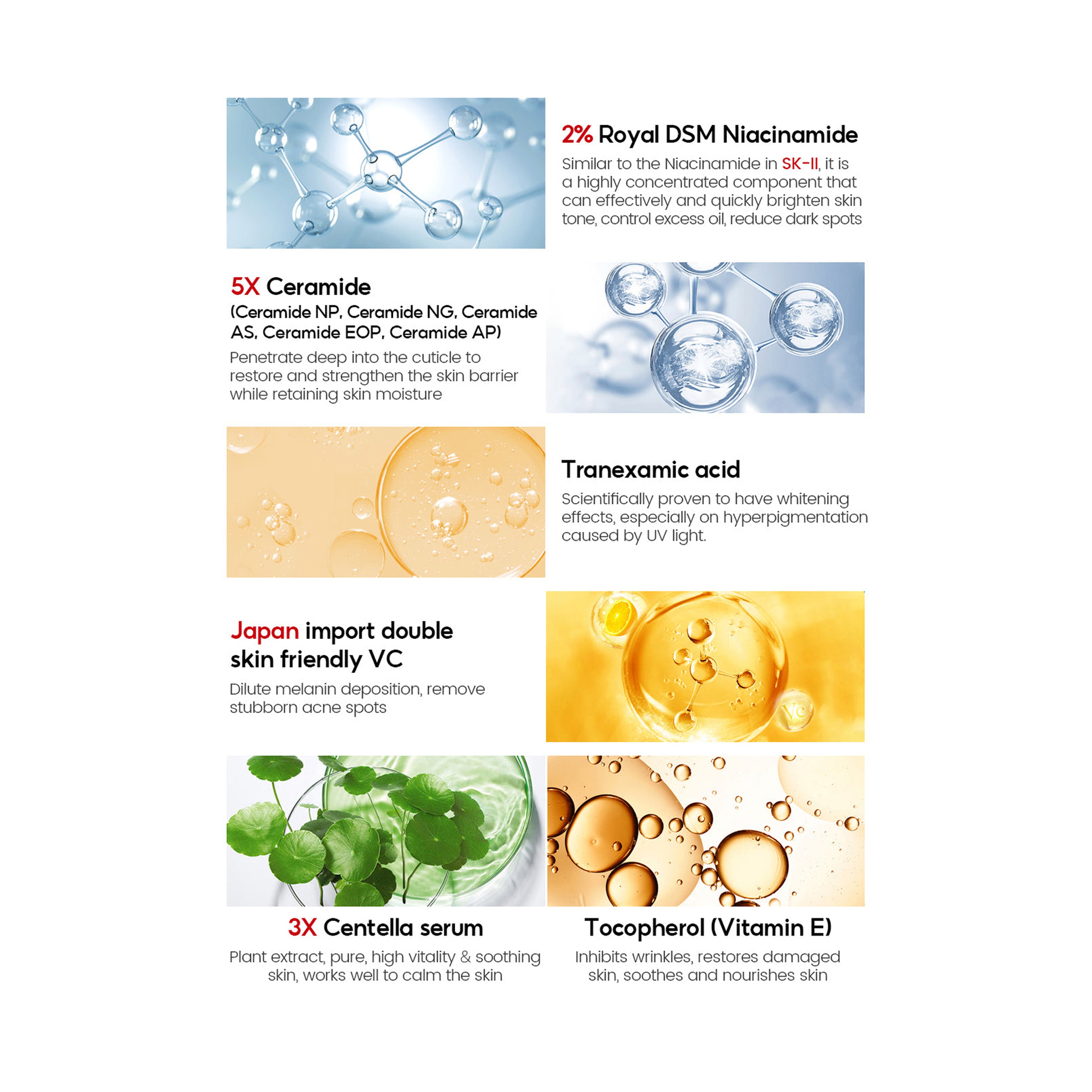 Vibrant Glamour 2% Niacinamide Moisturizing Serum with 5x Ceramide and Tranexamic Acid 80 ml