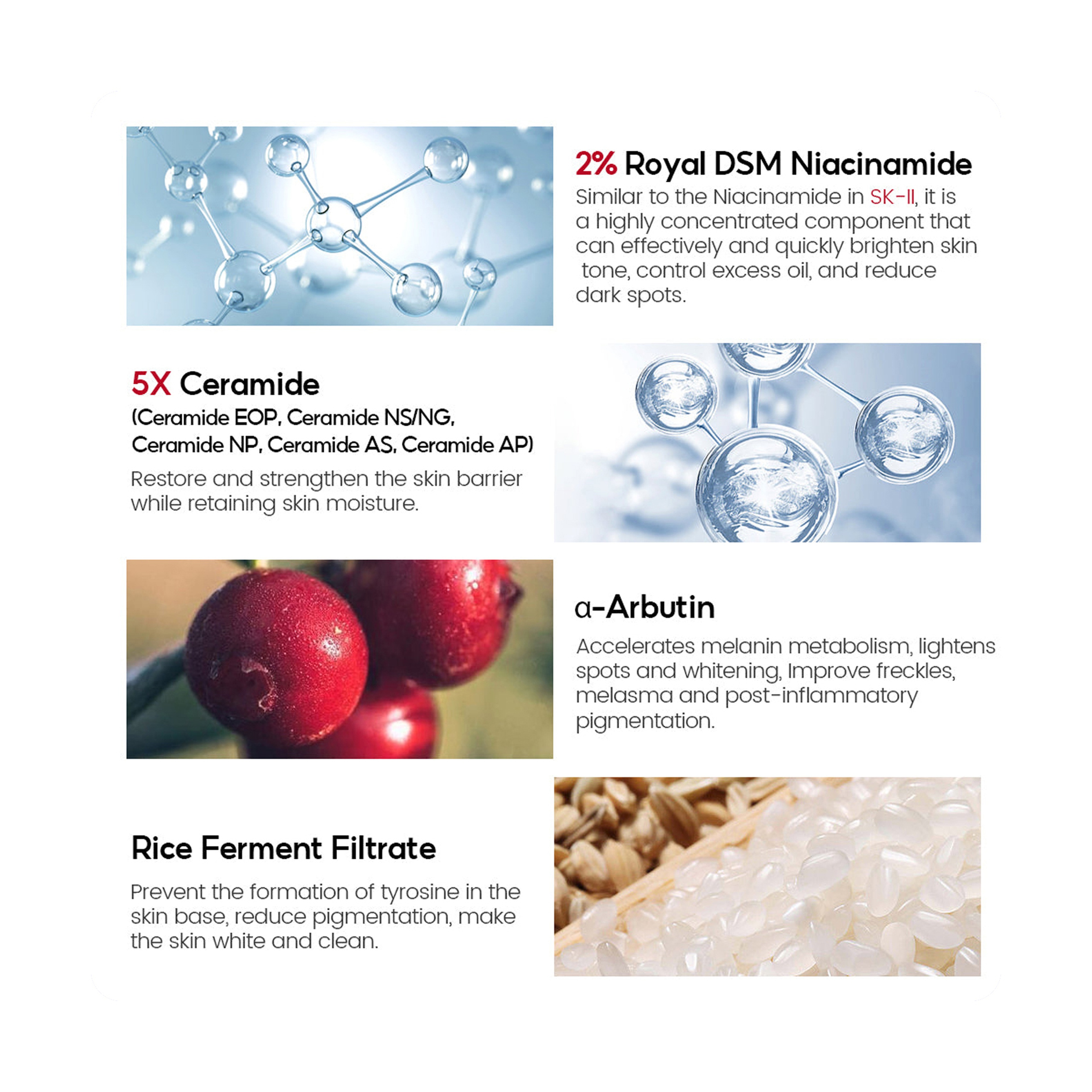 Vibrant Glamour 2% Niacinamide Brightening Face Toner with 5x Ceramide 100 ml