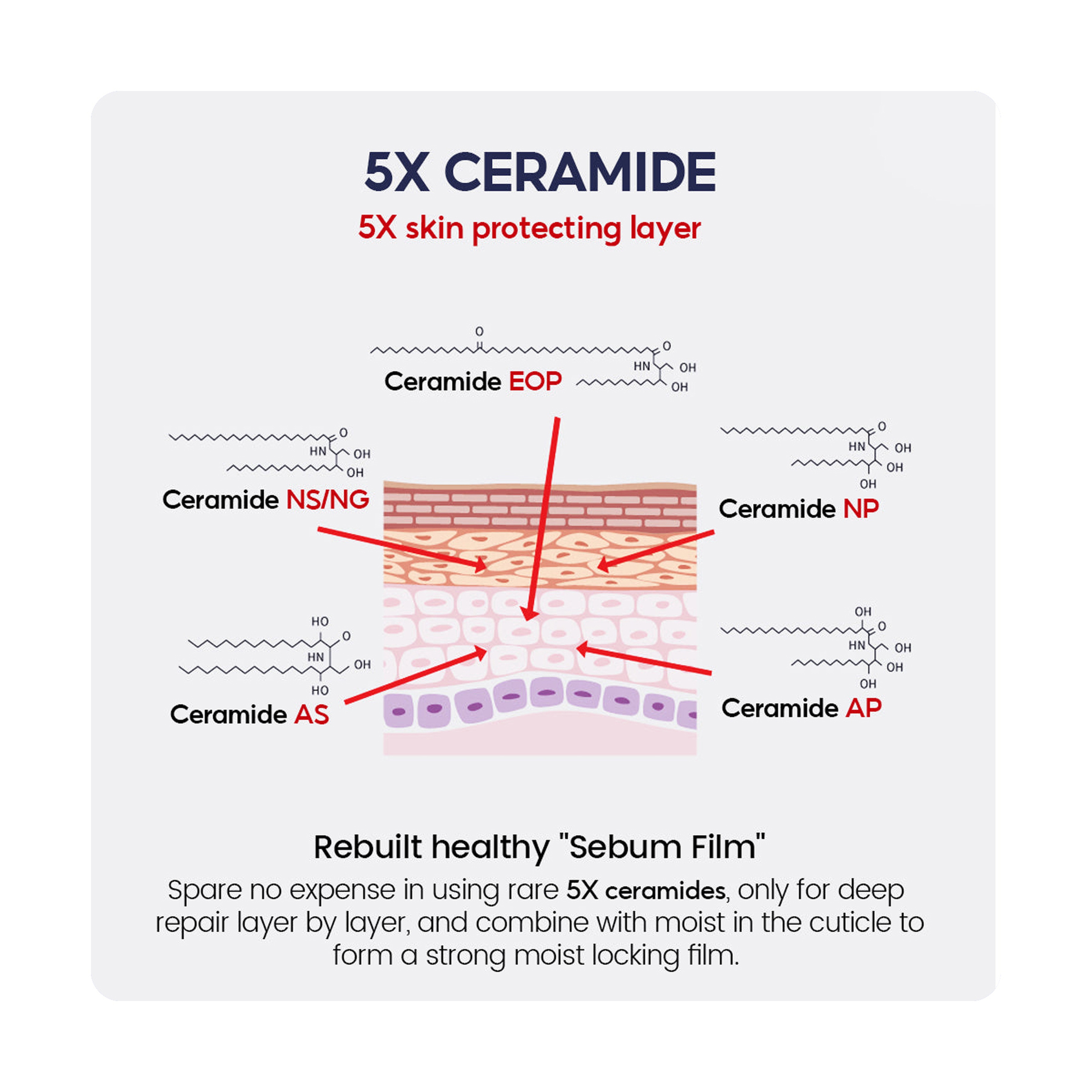 Vibrant Glamour 2% Niacinamide Brightening Face Toner with 5x Ceramide 100 ml