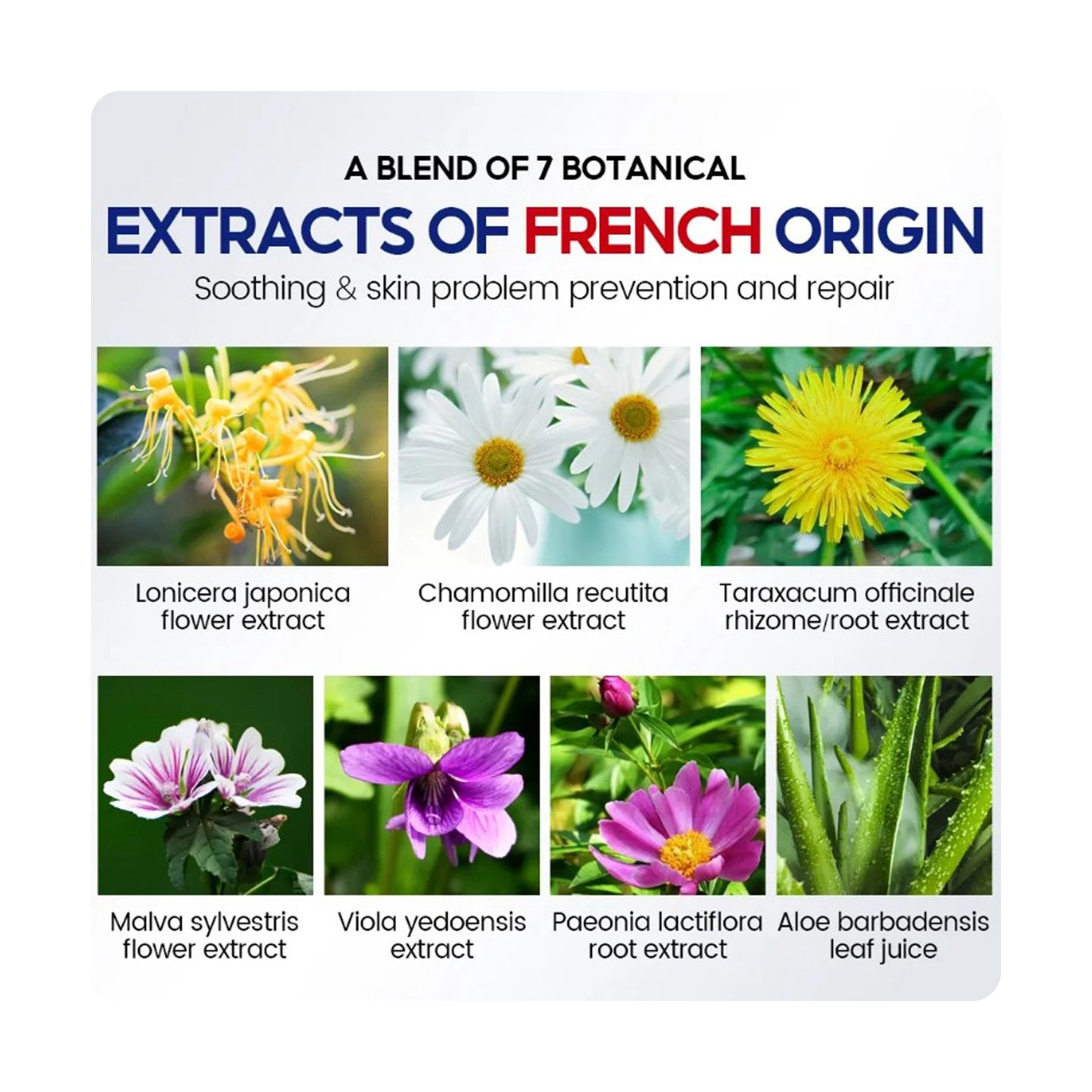 Vibrant Glamour Niacinamide Facial Spray Cleansing and Moisturizing 100 ml