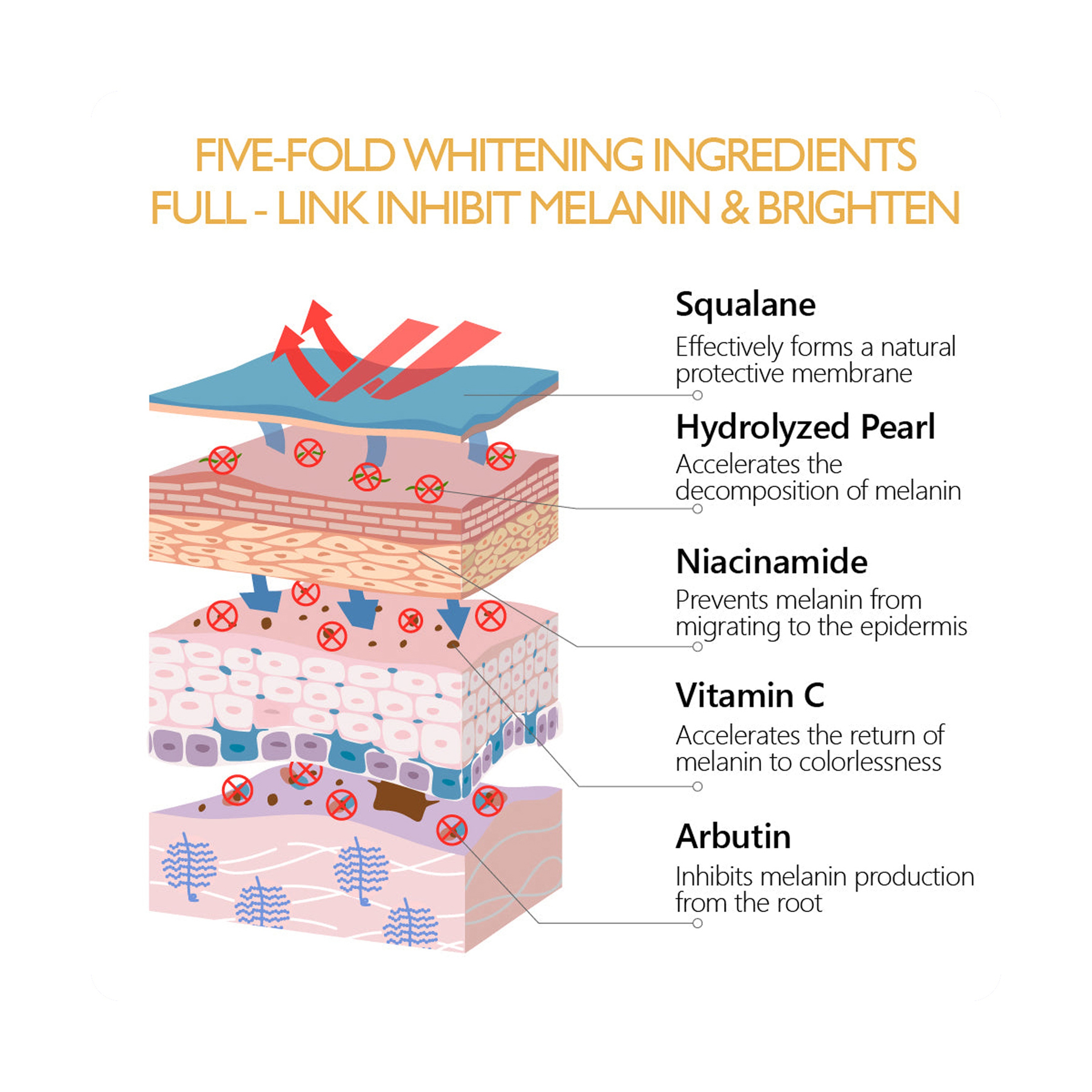 Vibrant Glamour Arbutin Lotion for Skin Brightening, Freckle Reduction, and Dark Spot Removal 80 ml