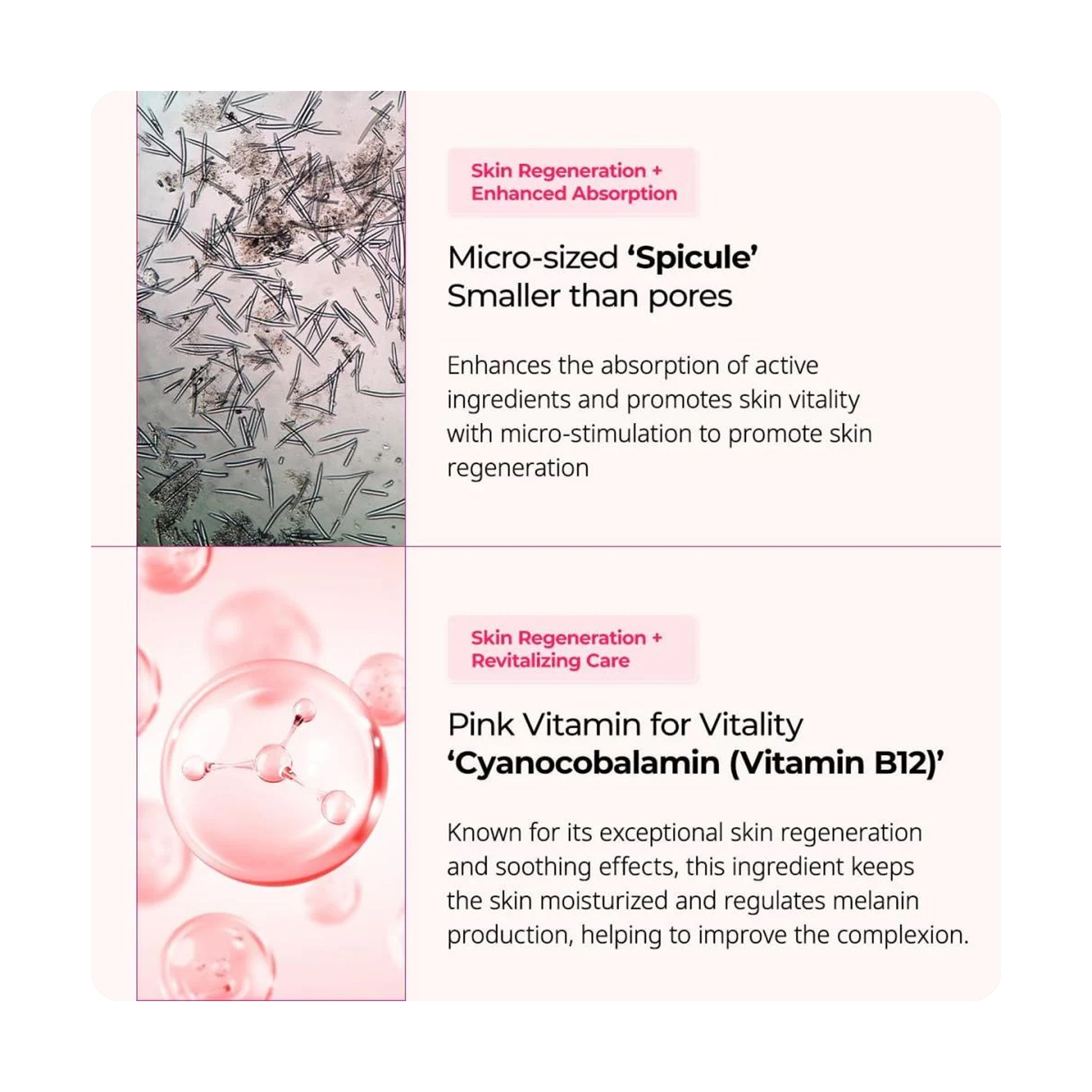 Dr.Melaxin Calcium B12 Spicule Cream 50g