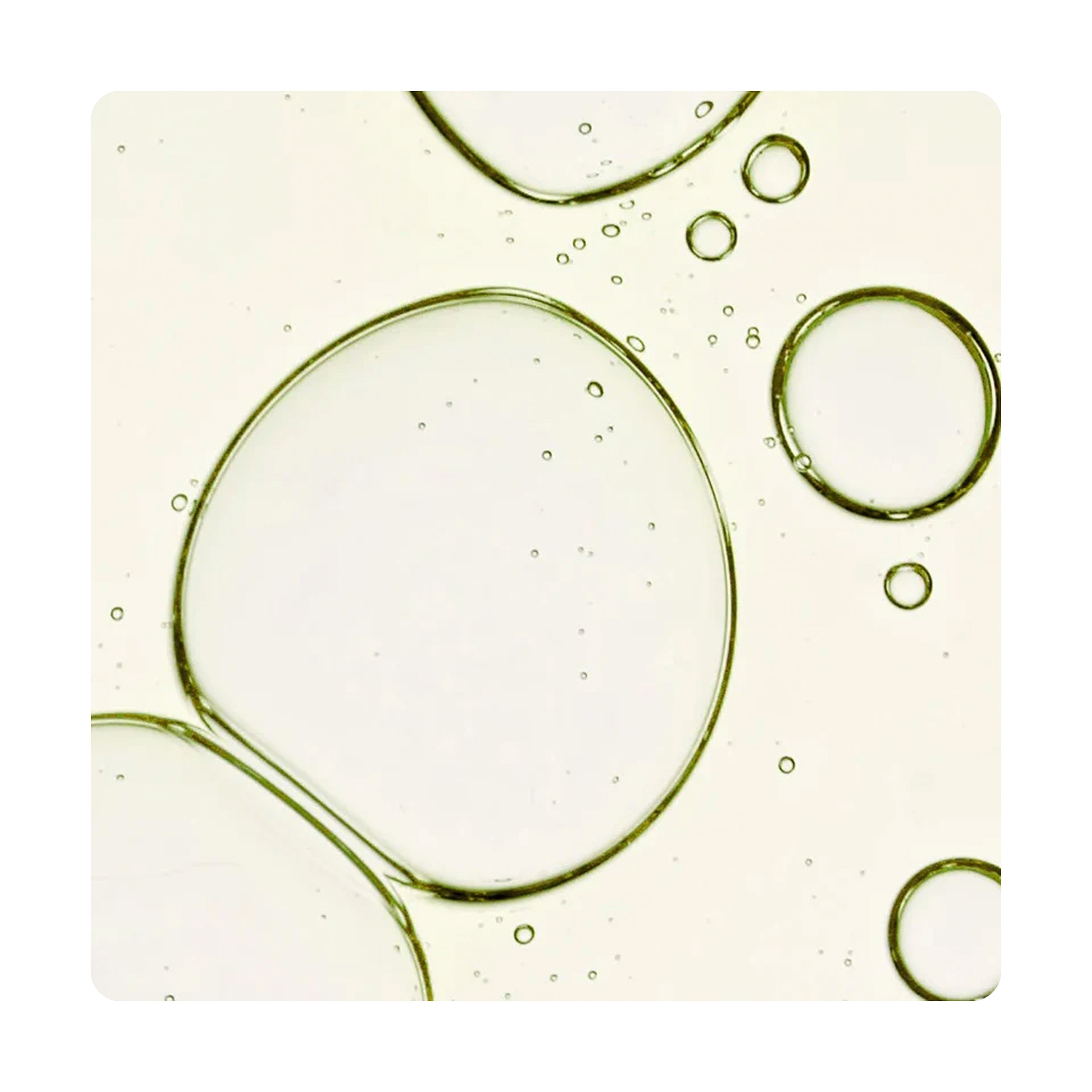 Fully Green Tomato Toner