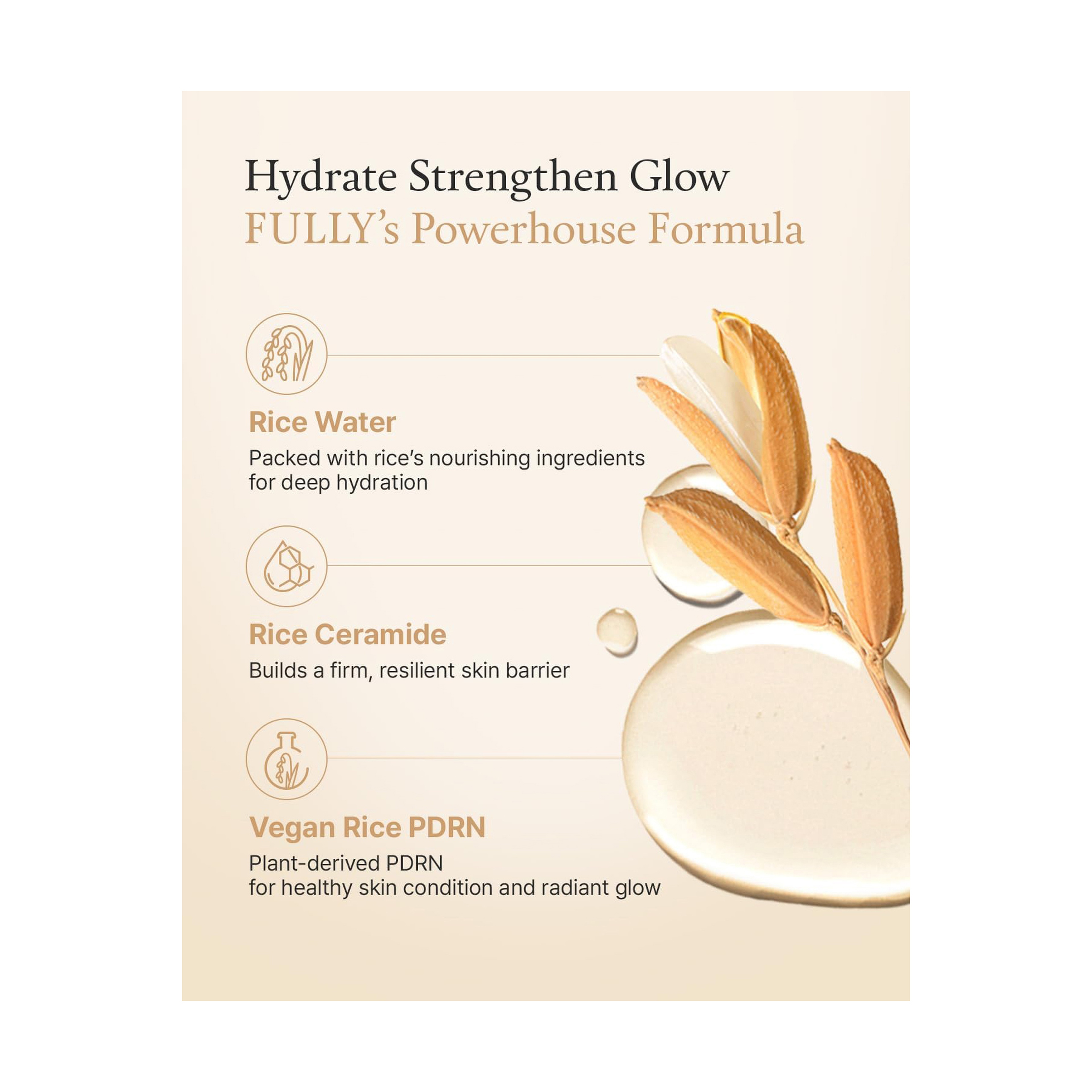 Fully Rice Ceramide Toner