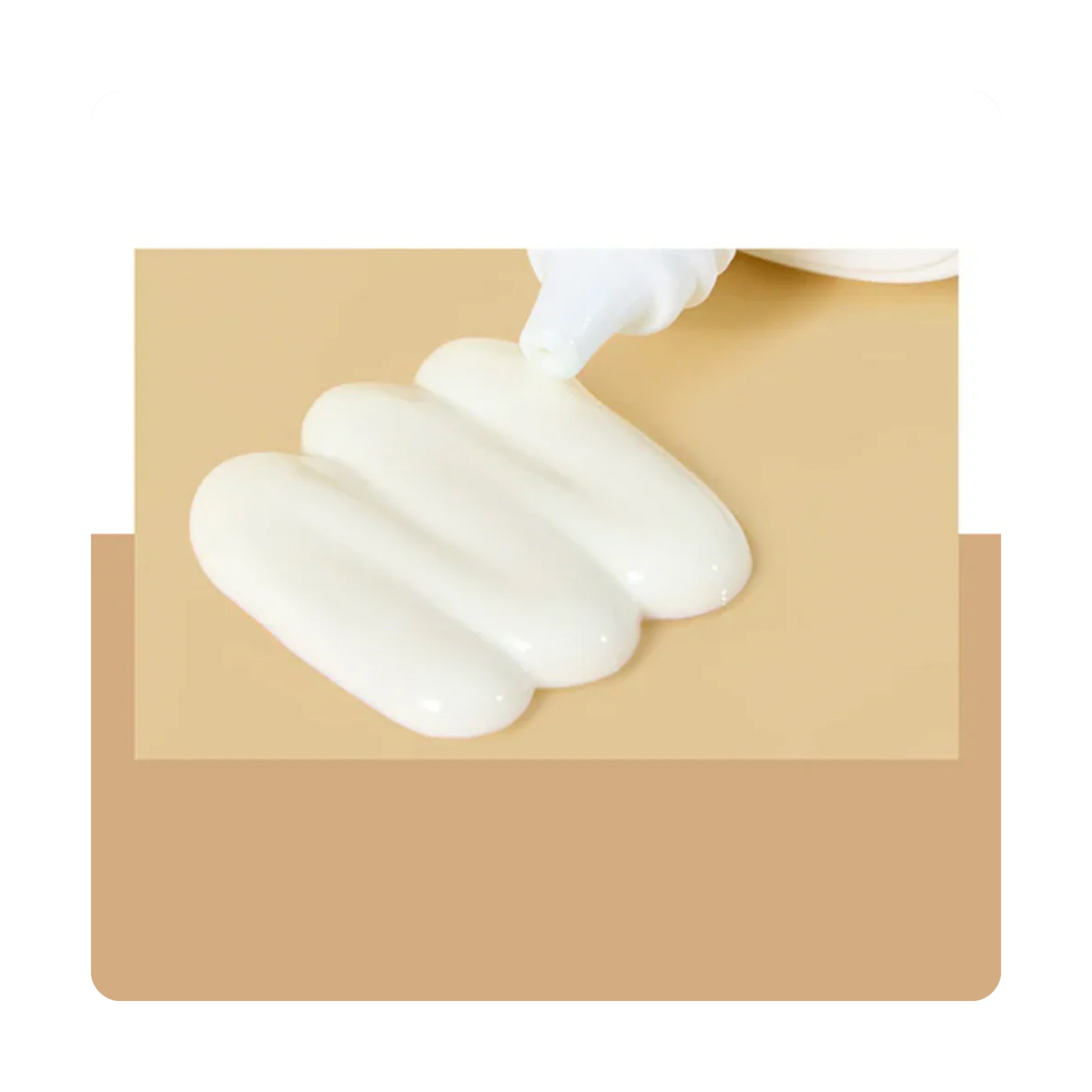 Fully Rice Ceramide Sun Cream