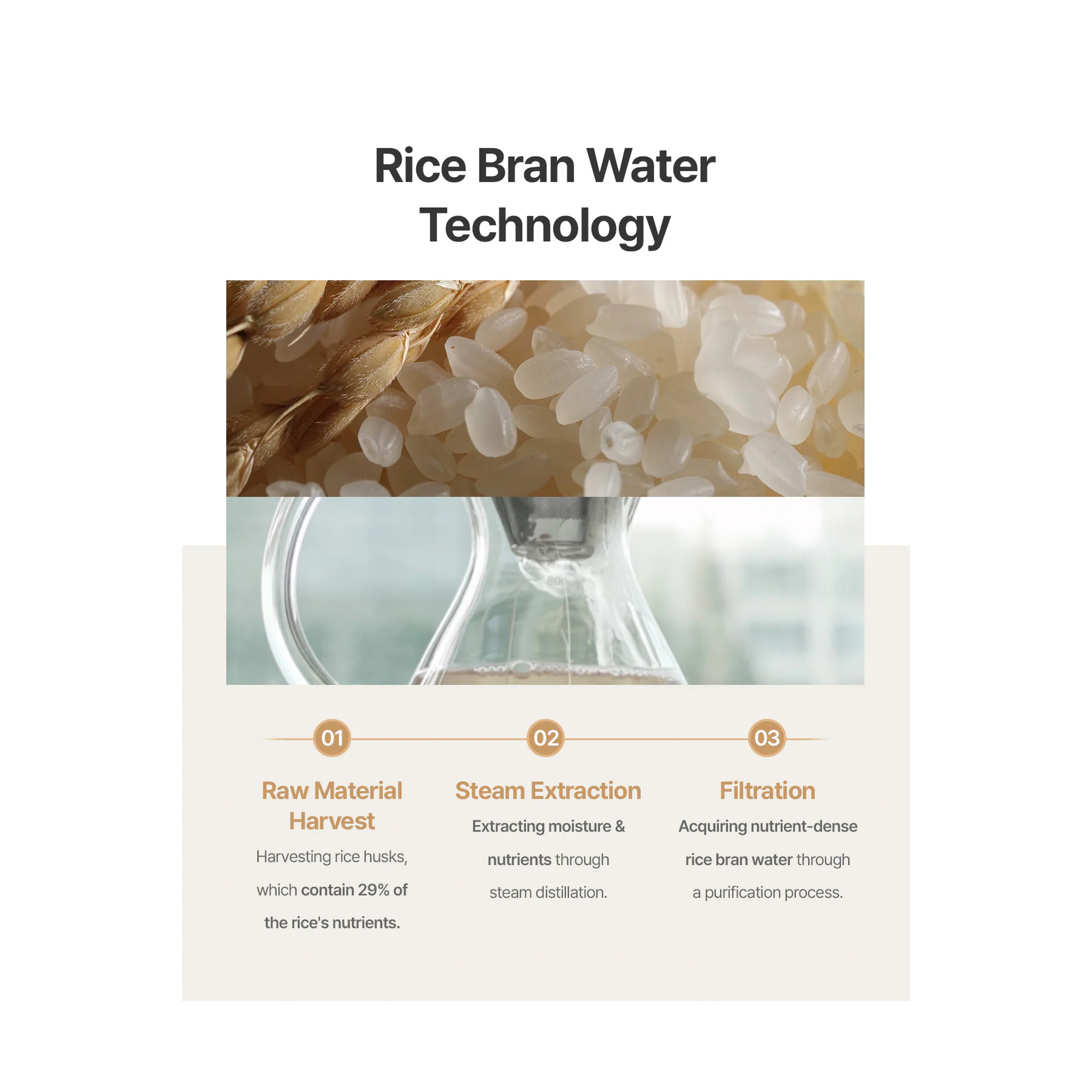 Fully Rice Dough Modeling Mask