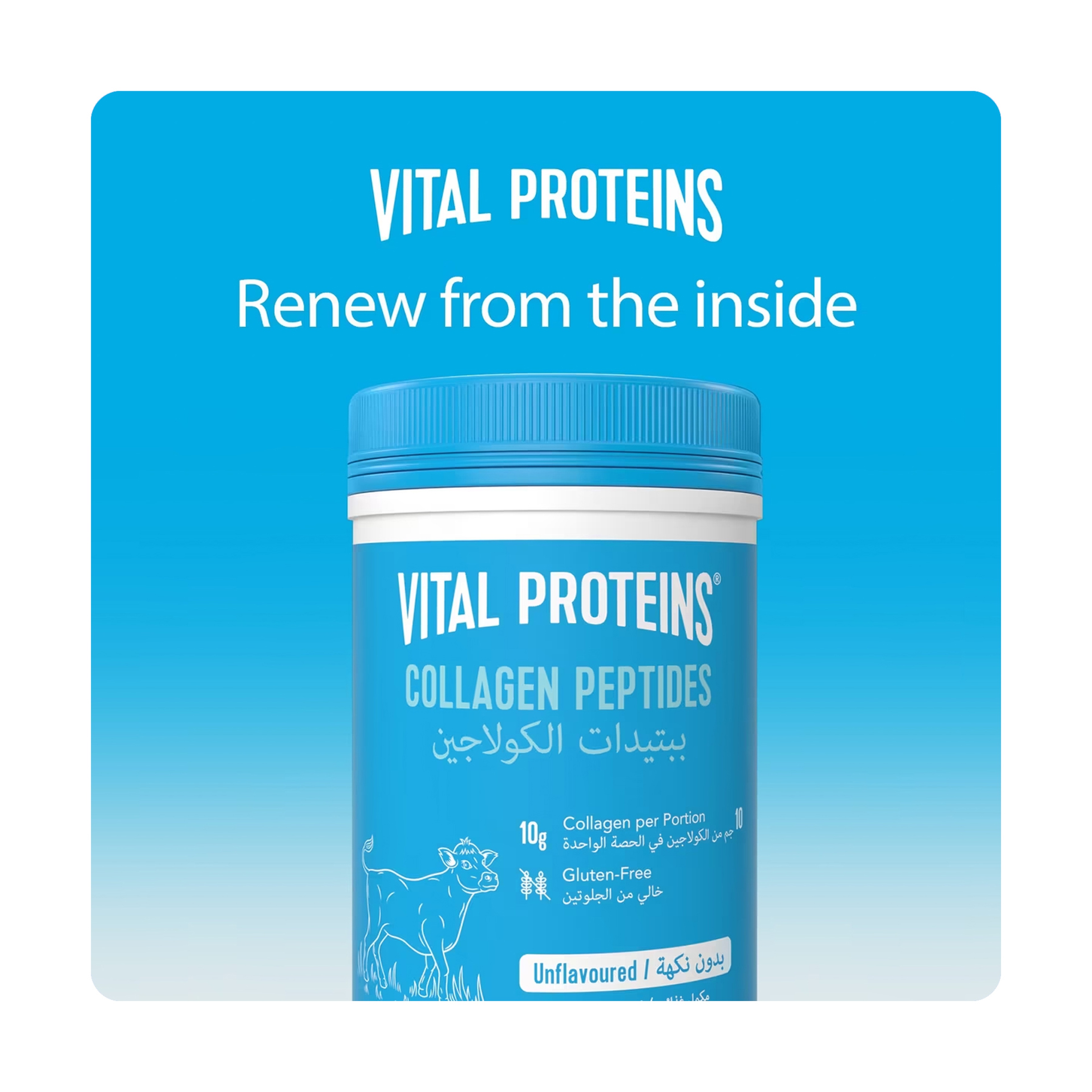 فيتال بروتين كولاجين حلال 284 جم