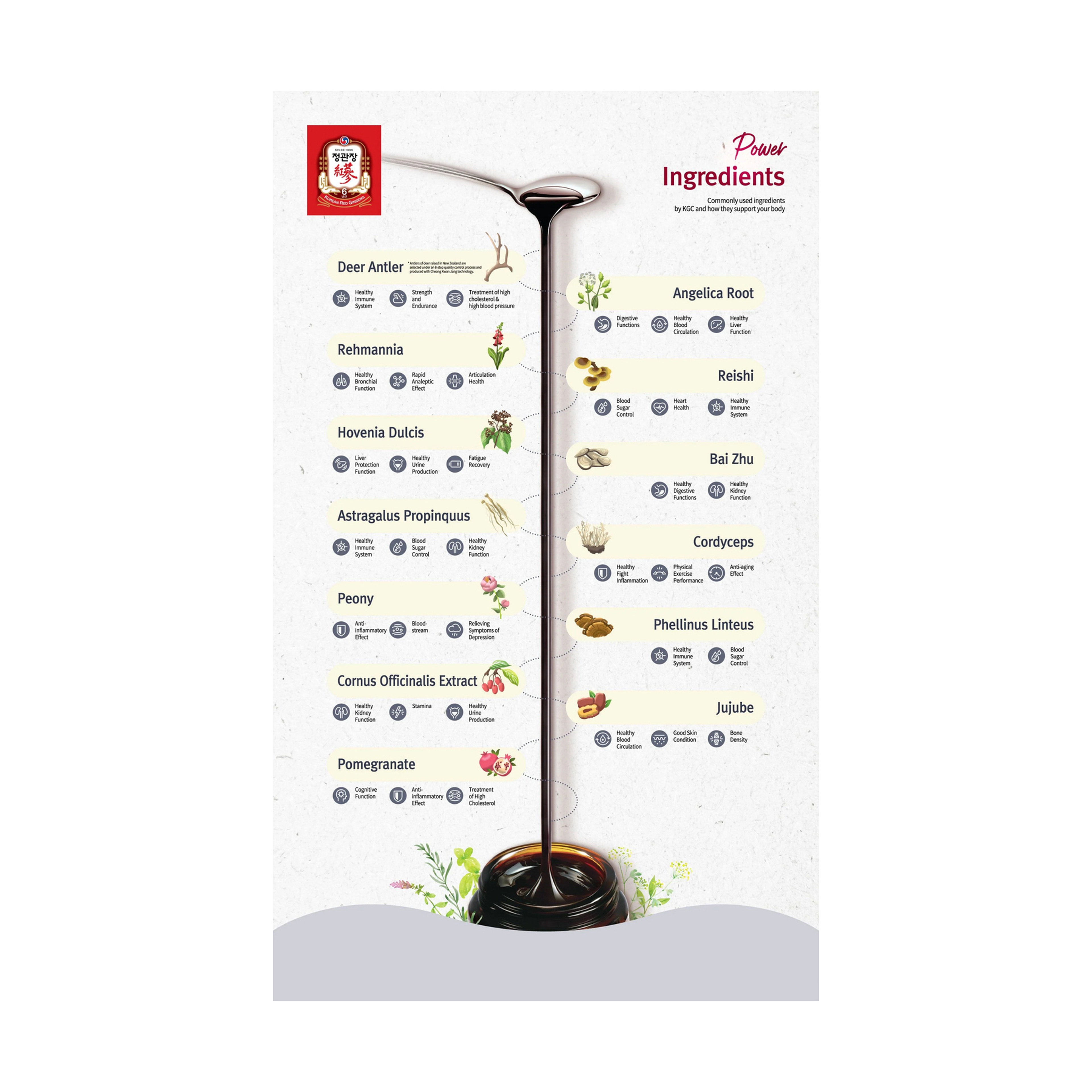 JKJ Hong Sam Won 50M1* 30Pouche
