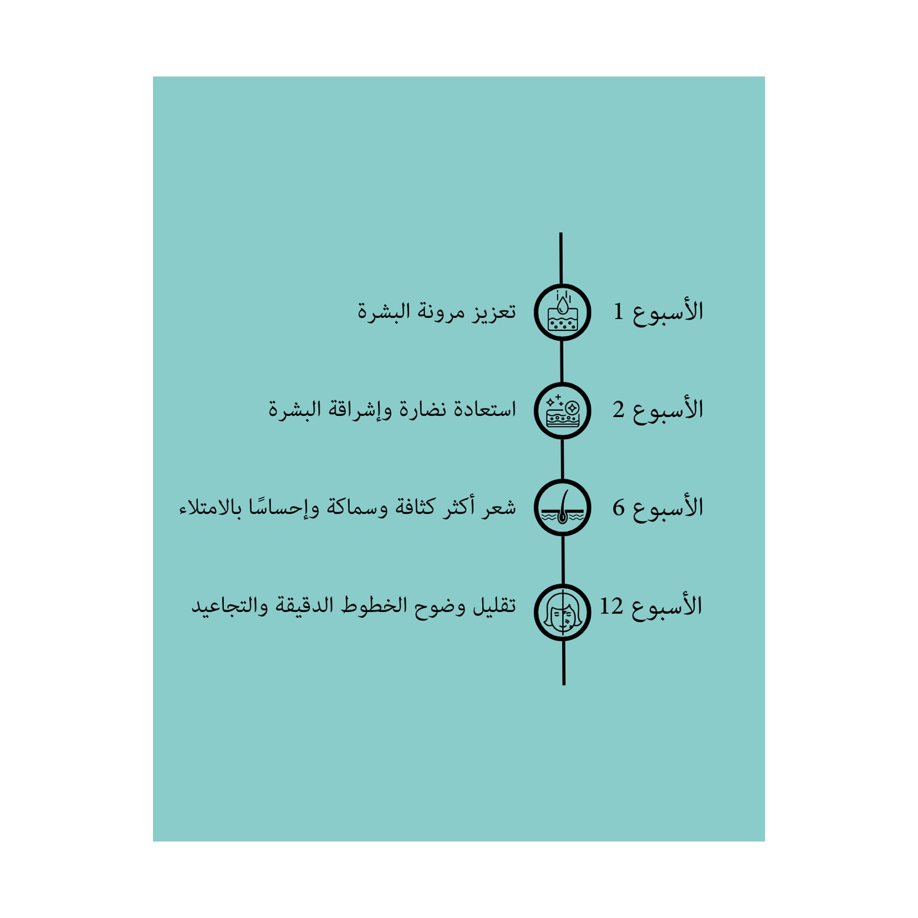 صورة 4
