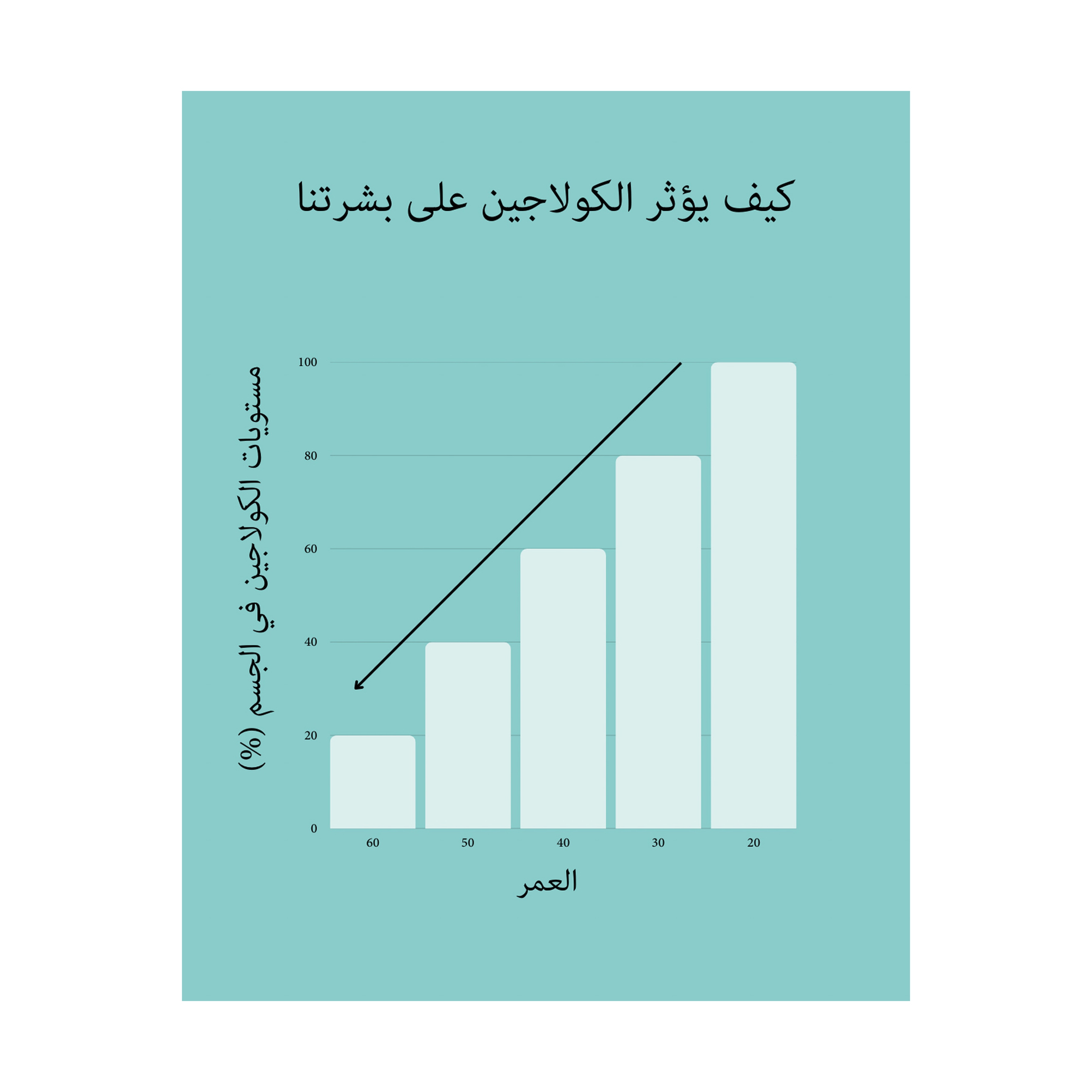 نايلا كولاجين بحري 14 قطعة