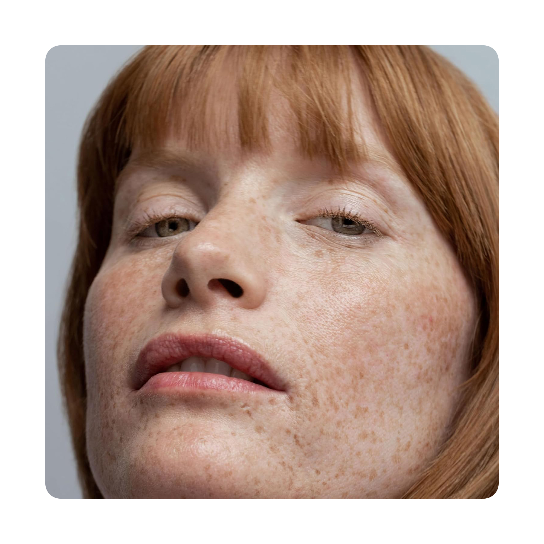 أوباجي صن شيلد تينت كول SPF50