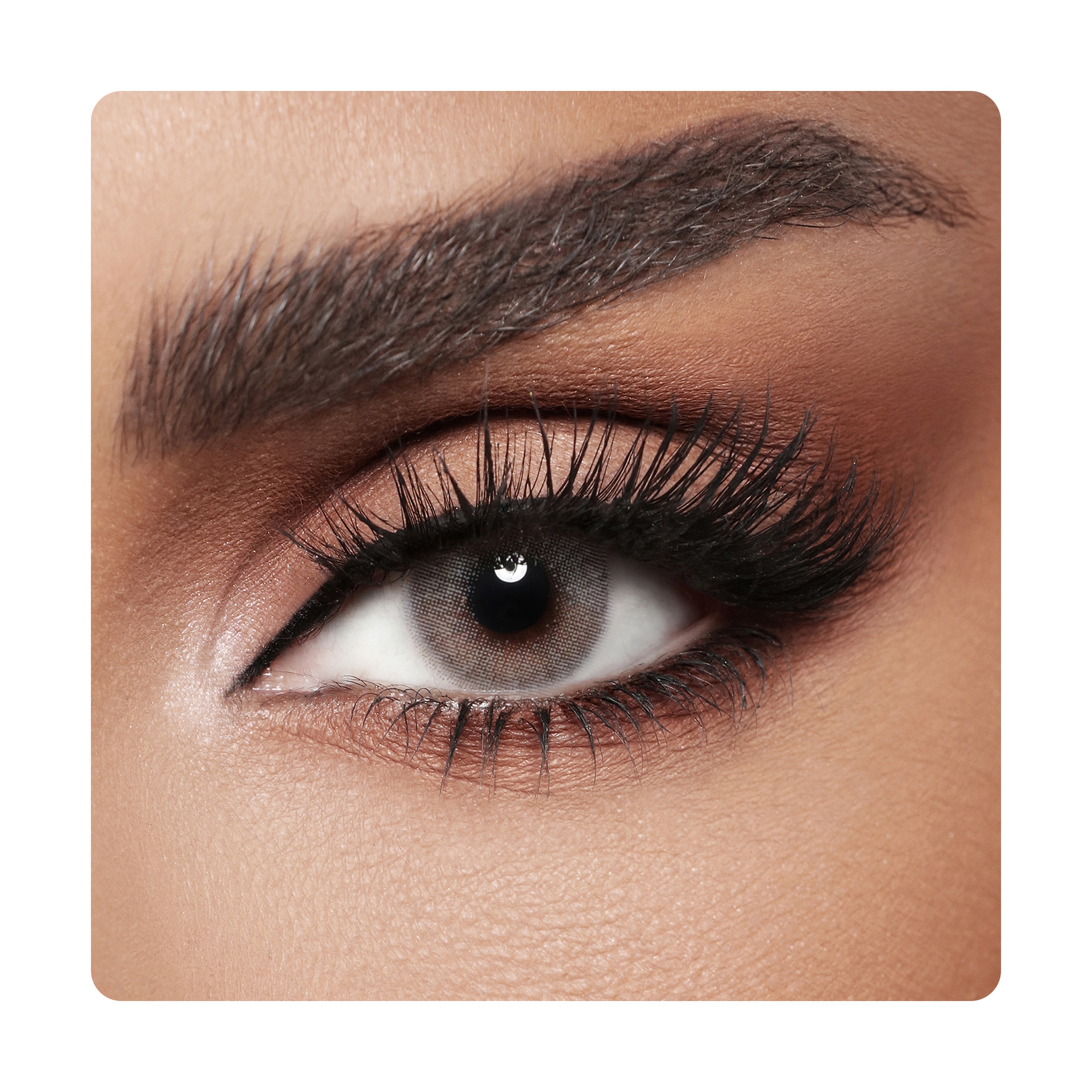 Diva Color Lenses - Gris