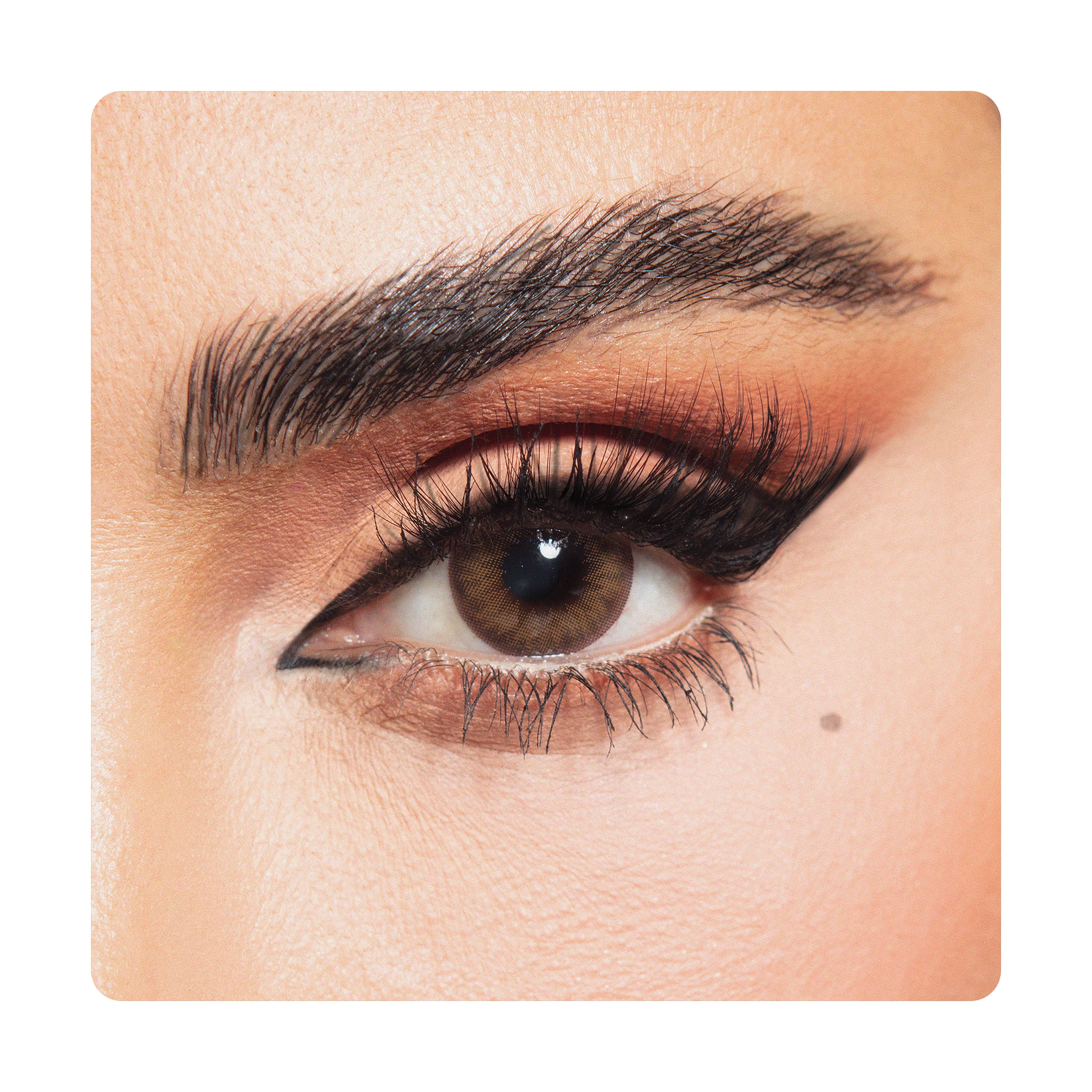 Diva Color Lenses - Her Beton