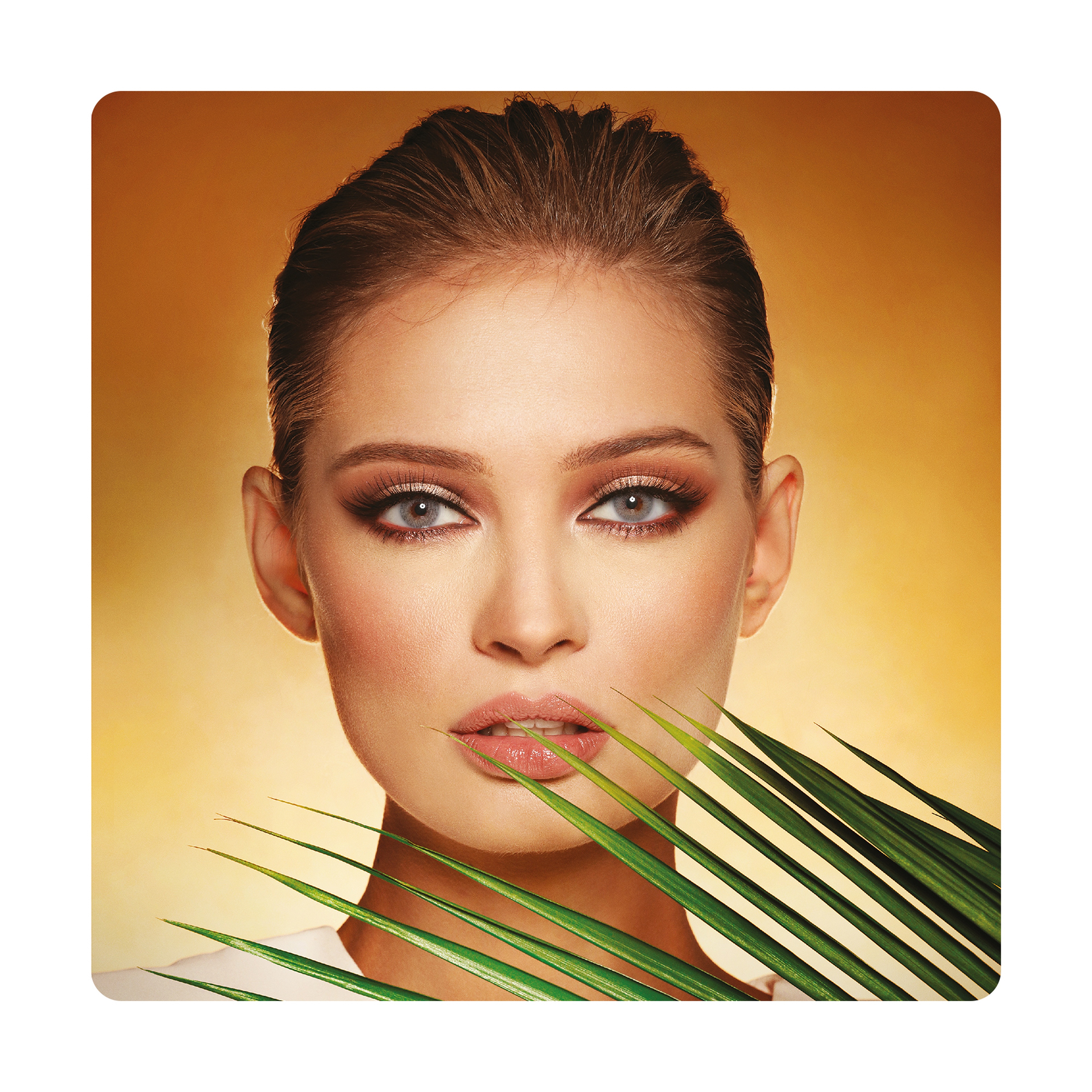 ديفا عدسات لاصقة تجميليه