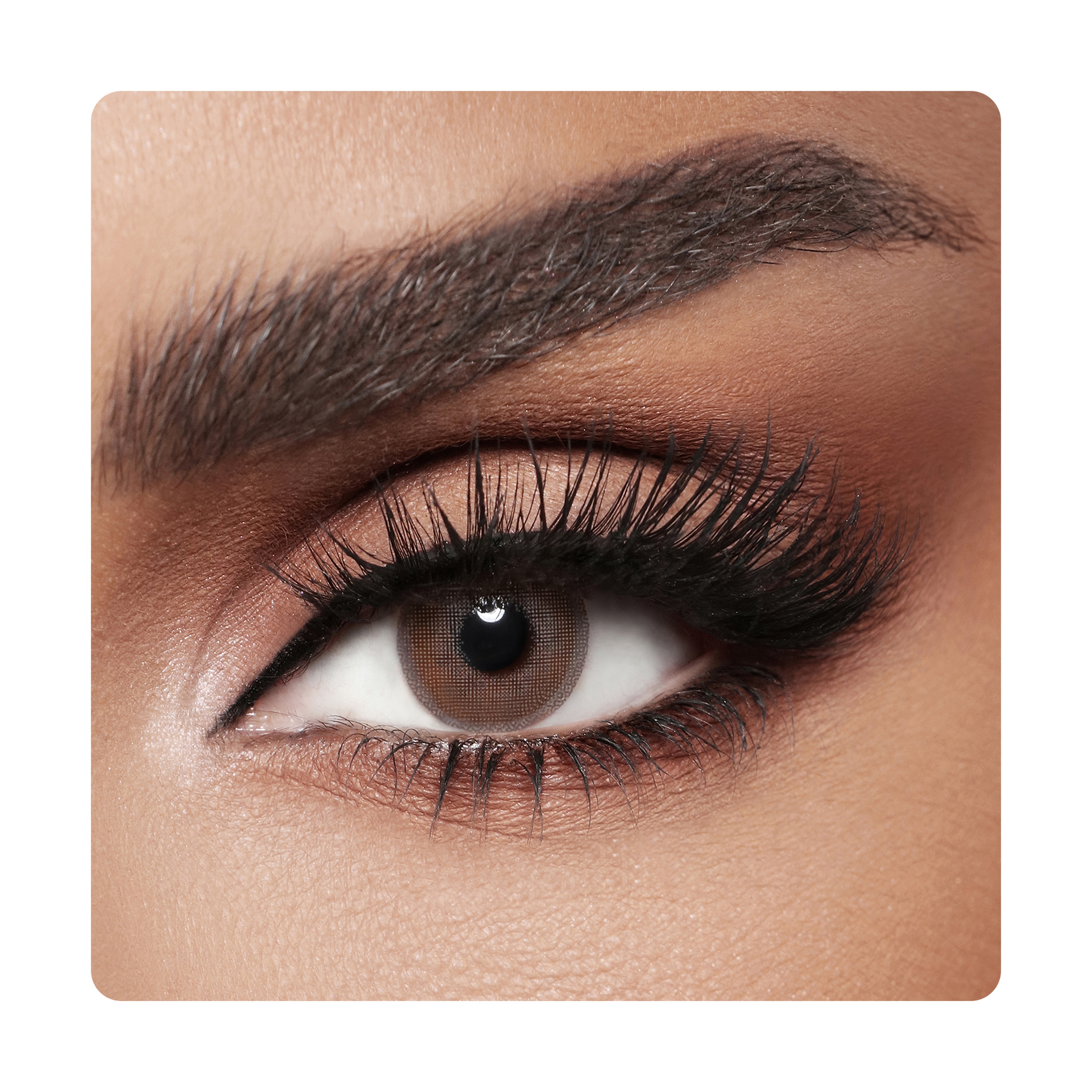 Diva Color Lenses - Truffle