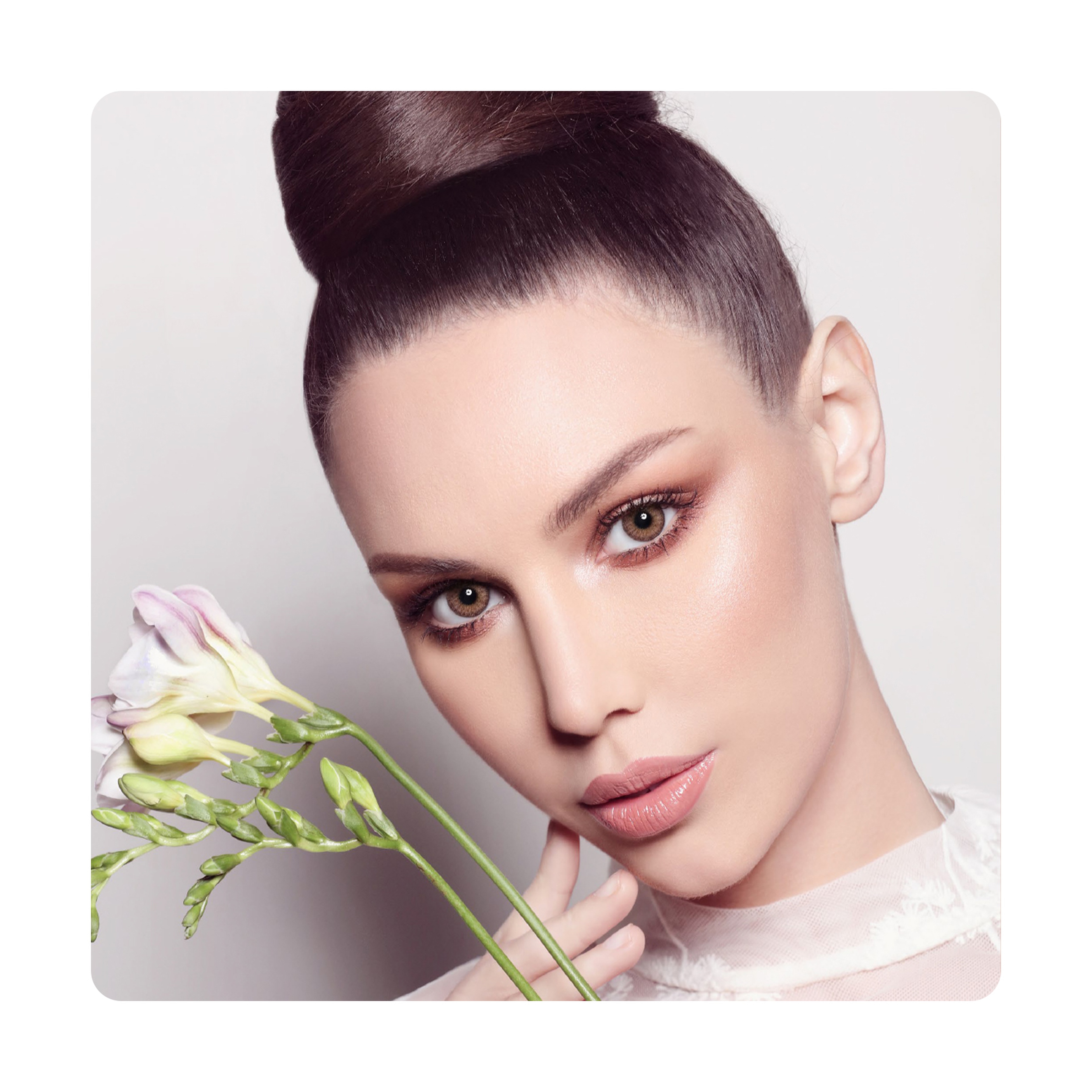 Diva Color Lenses - Latte