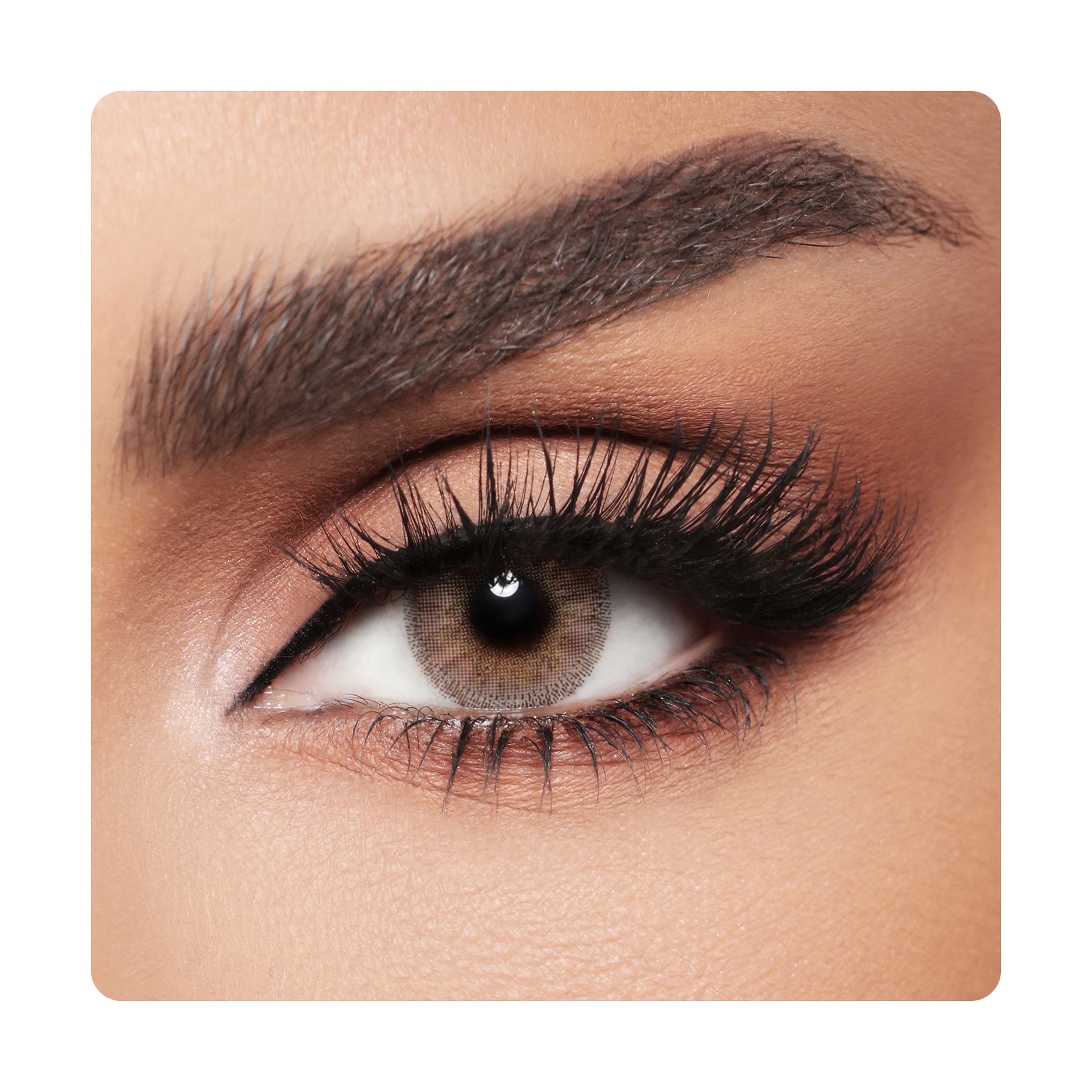Diva Color Lenses - Latte