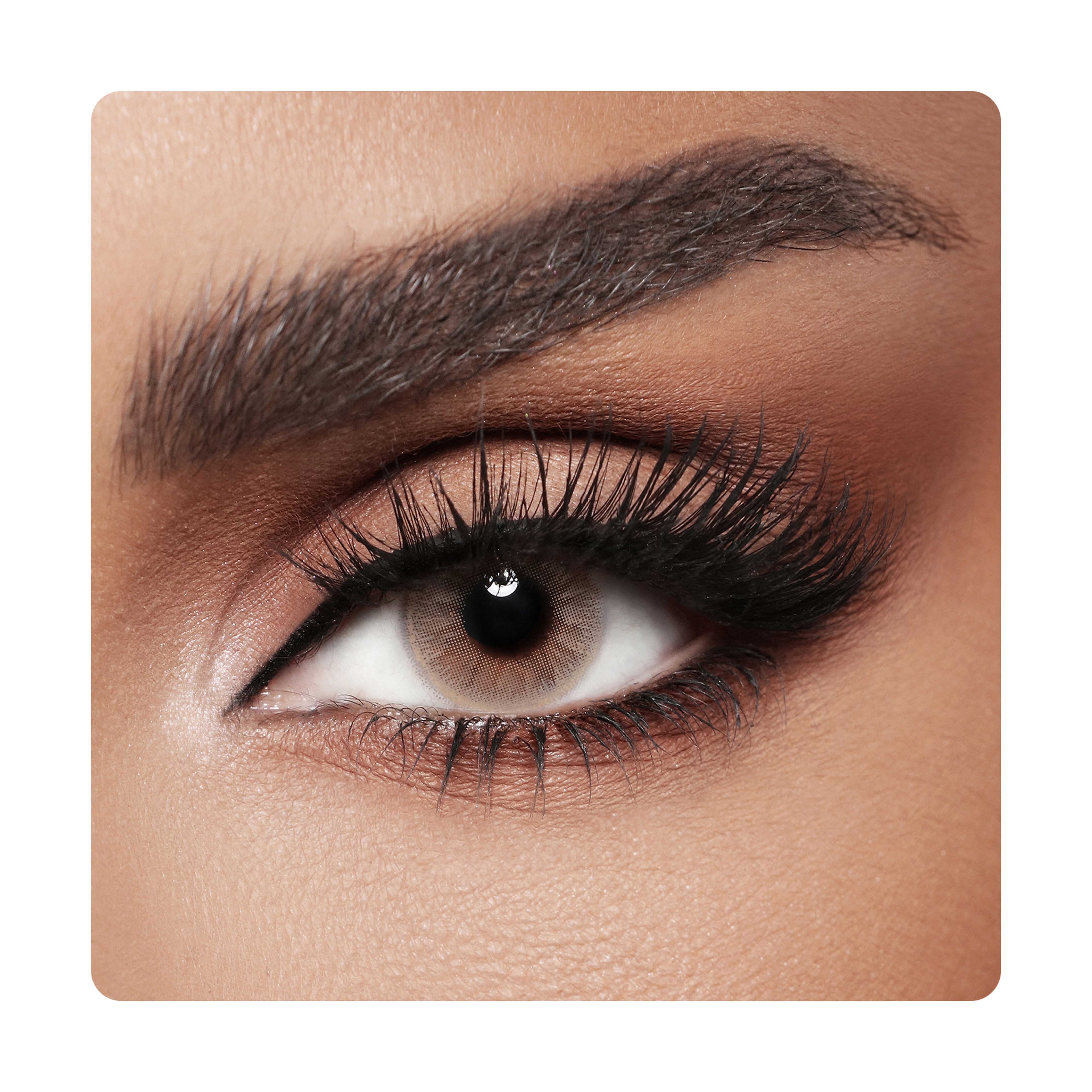 Diva Color Lenses - Clay