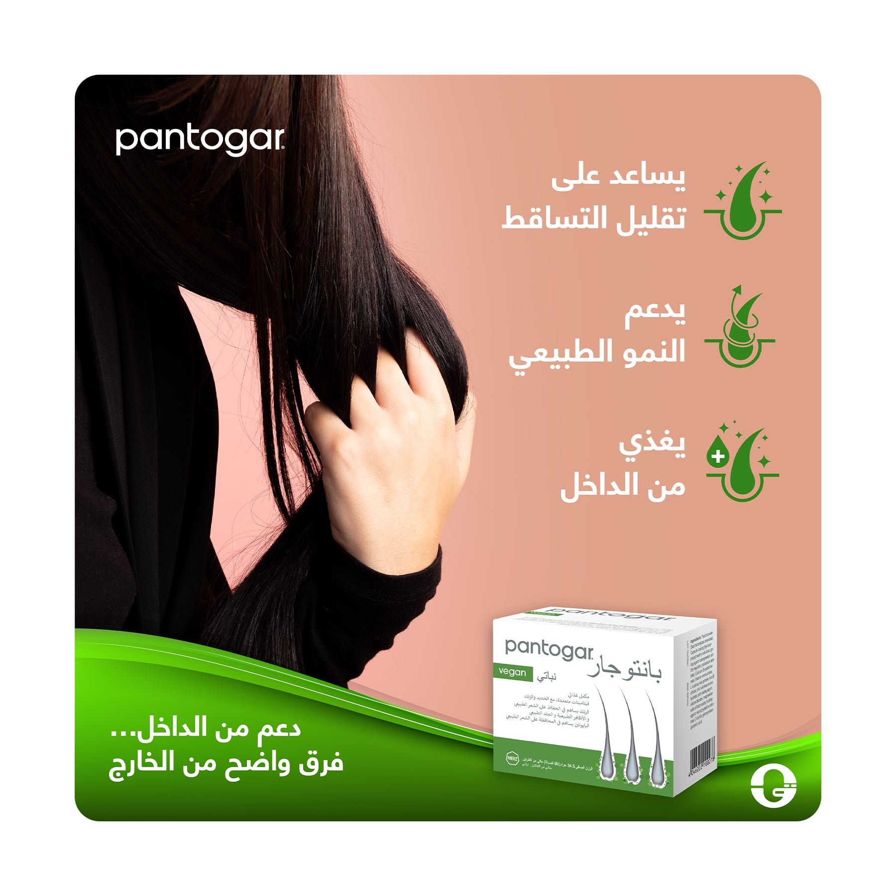 صورة 2