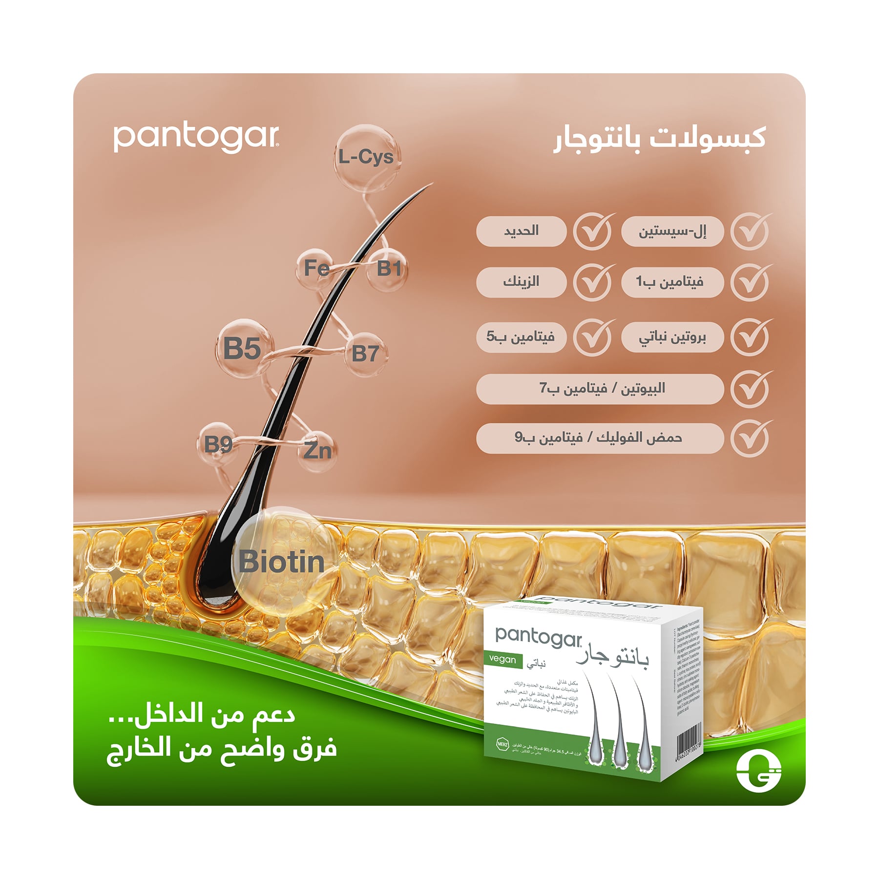 صورة 4