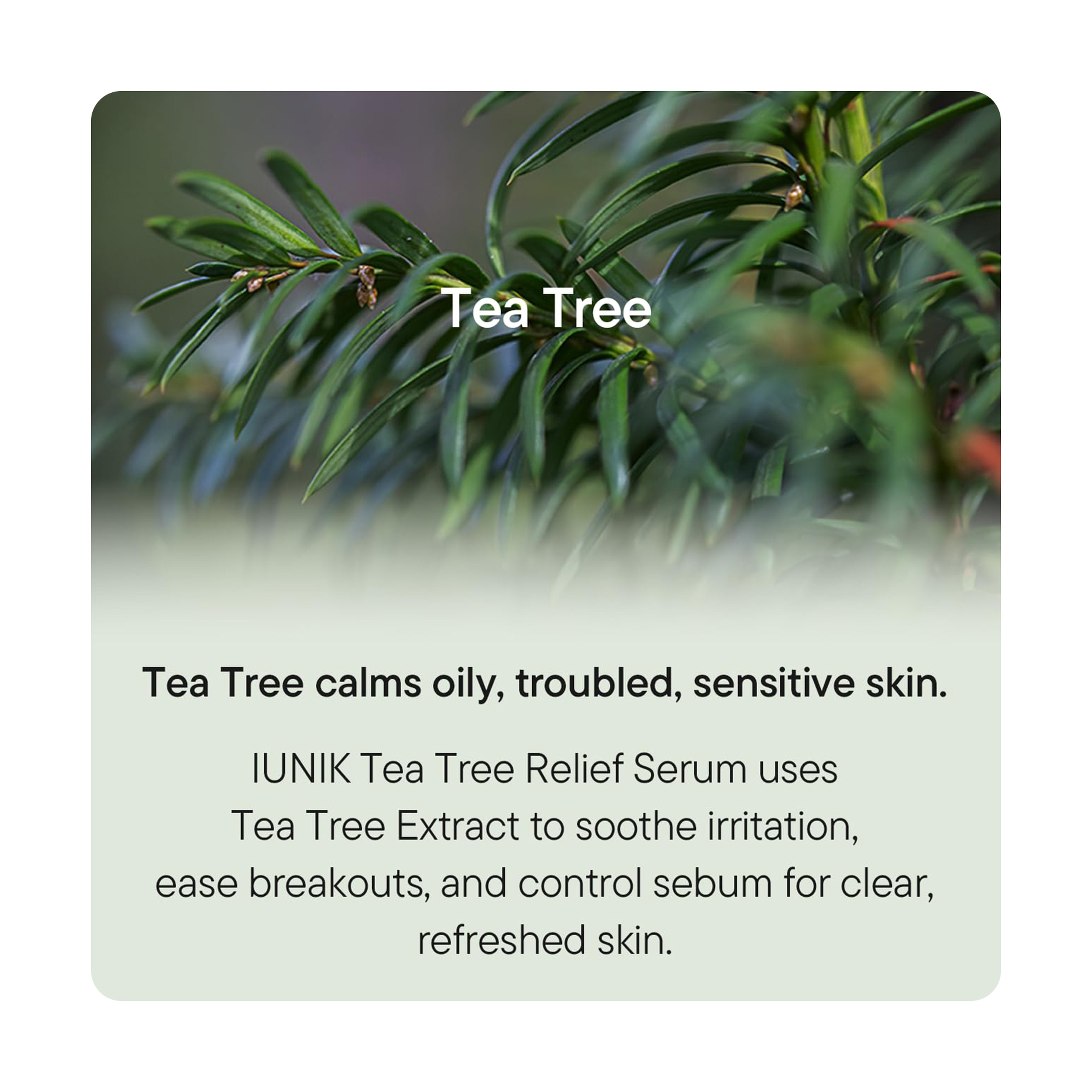 iUNIK Tea Tree Relief Serum
