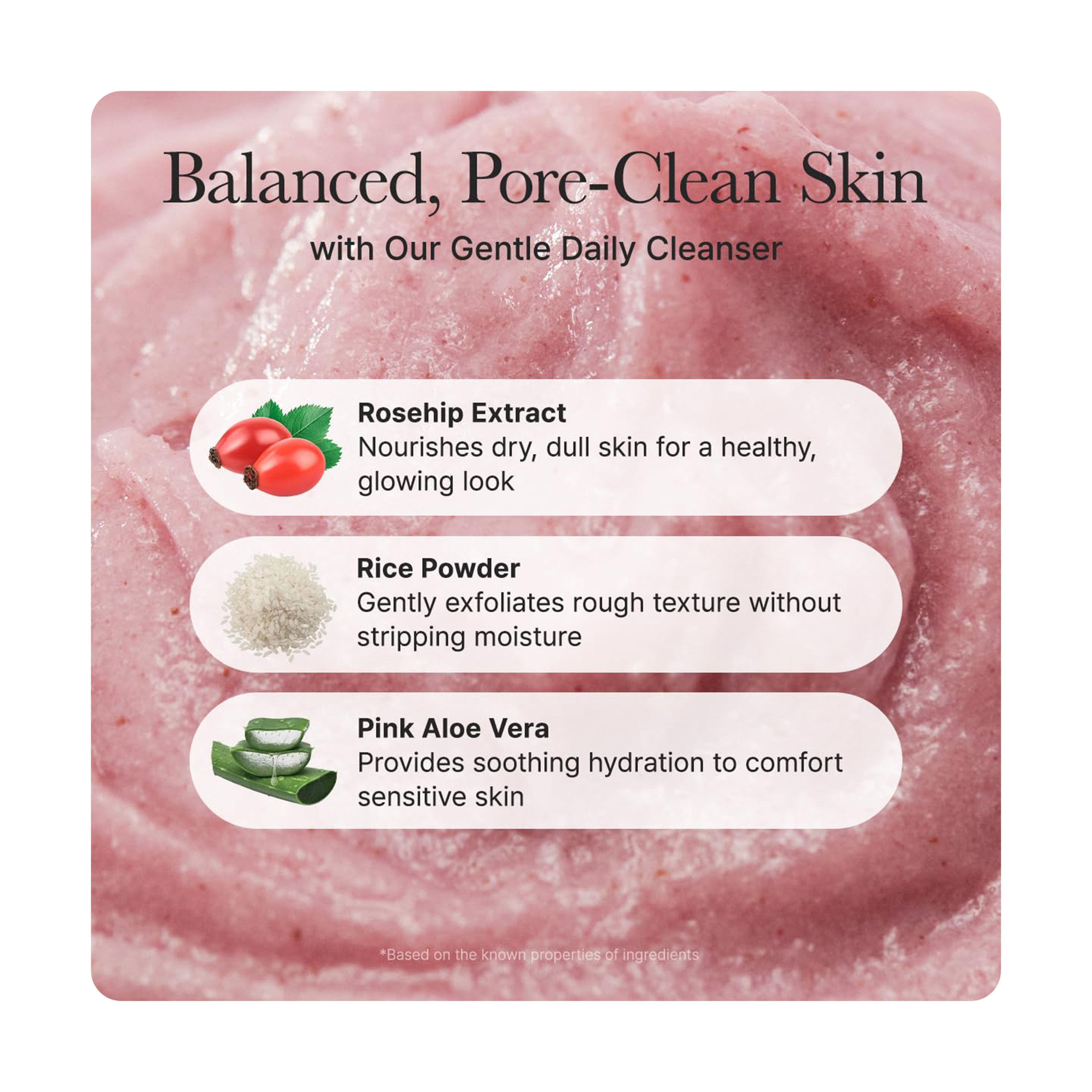 Arencia Rosehip Cleanser